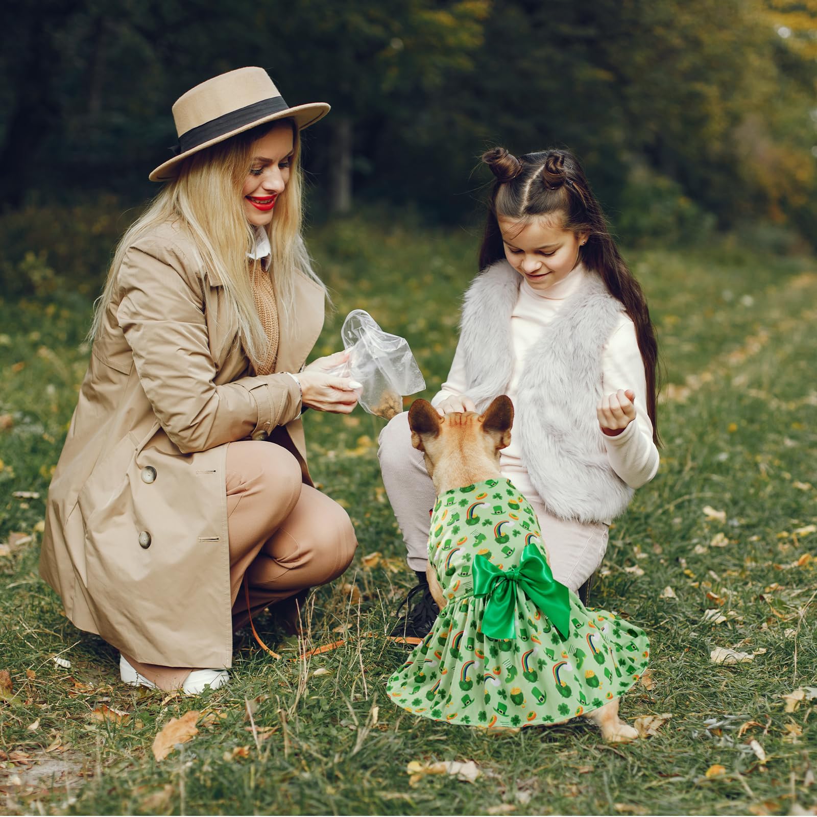 St. Patrick'S Day Dog Costume Dress L, Green Clover And Horseshoe Print With Satin Bow, Pet Dress For 11-13 Lbs Dogs And Cats, F