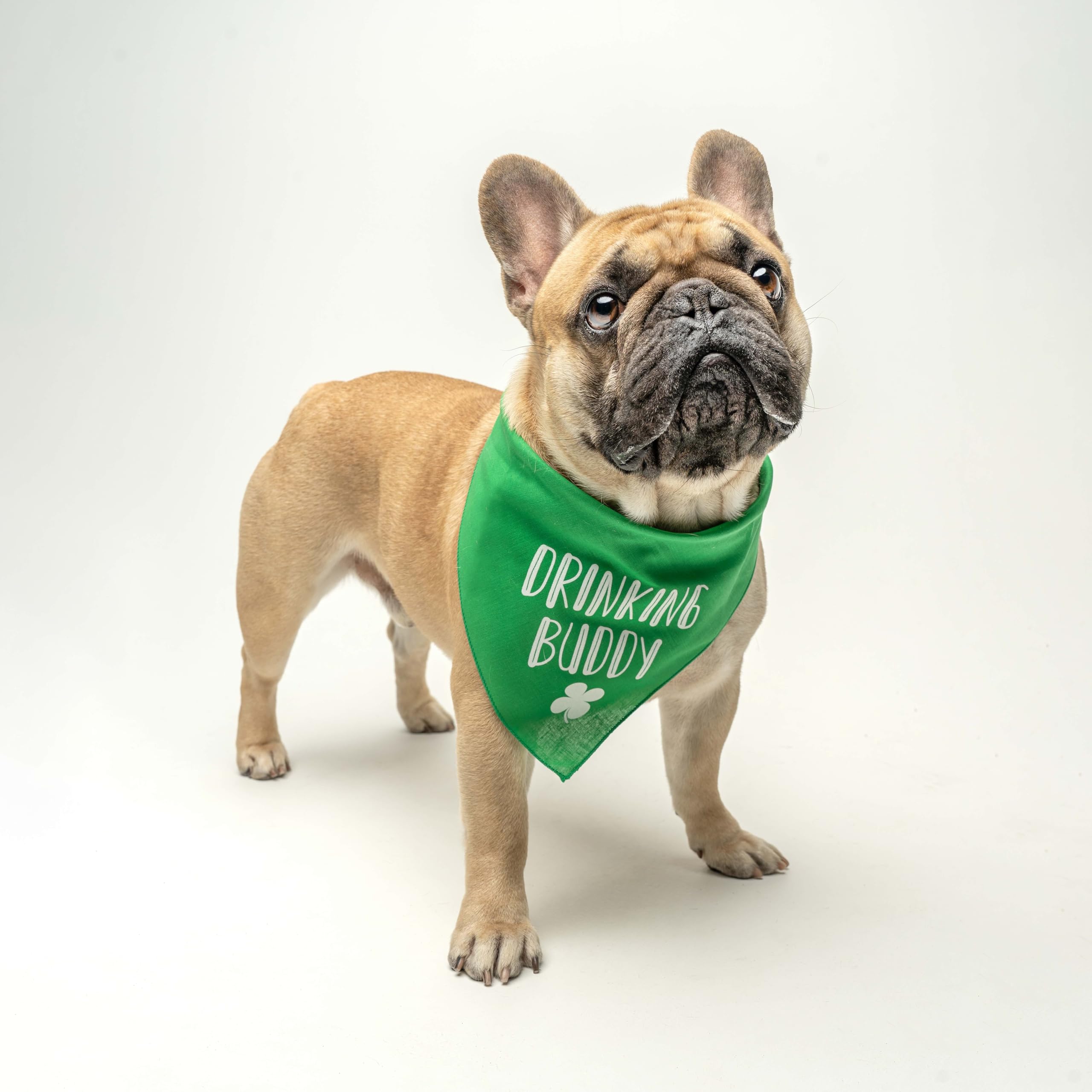 Dog Bandana | 100% Cotton Triangle | Made In Usa | Funny St. Patrick'S Day Photoshoot Prop | Shamrock | Drinking Bar Parade Even