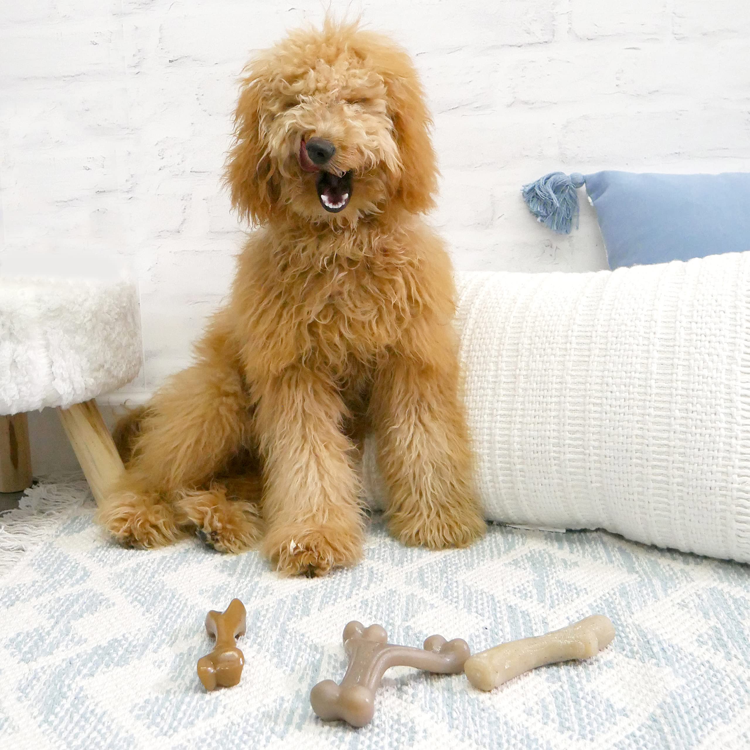 Nylabone Gourmet Style Femur, Wishbone, & Stick Strong Chew Toy for Puppies, Bacon, Chicken & Peanut Butter Flavor, Small - Up t