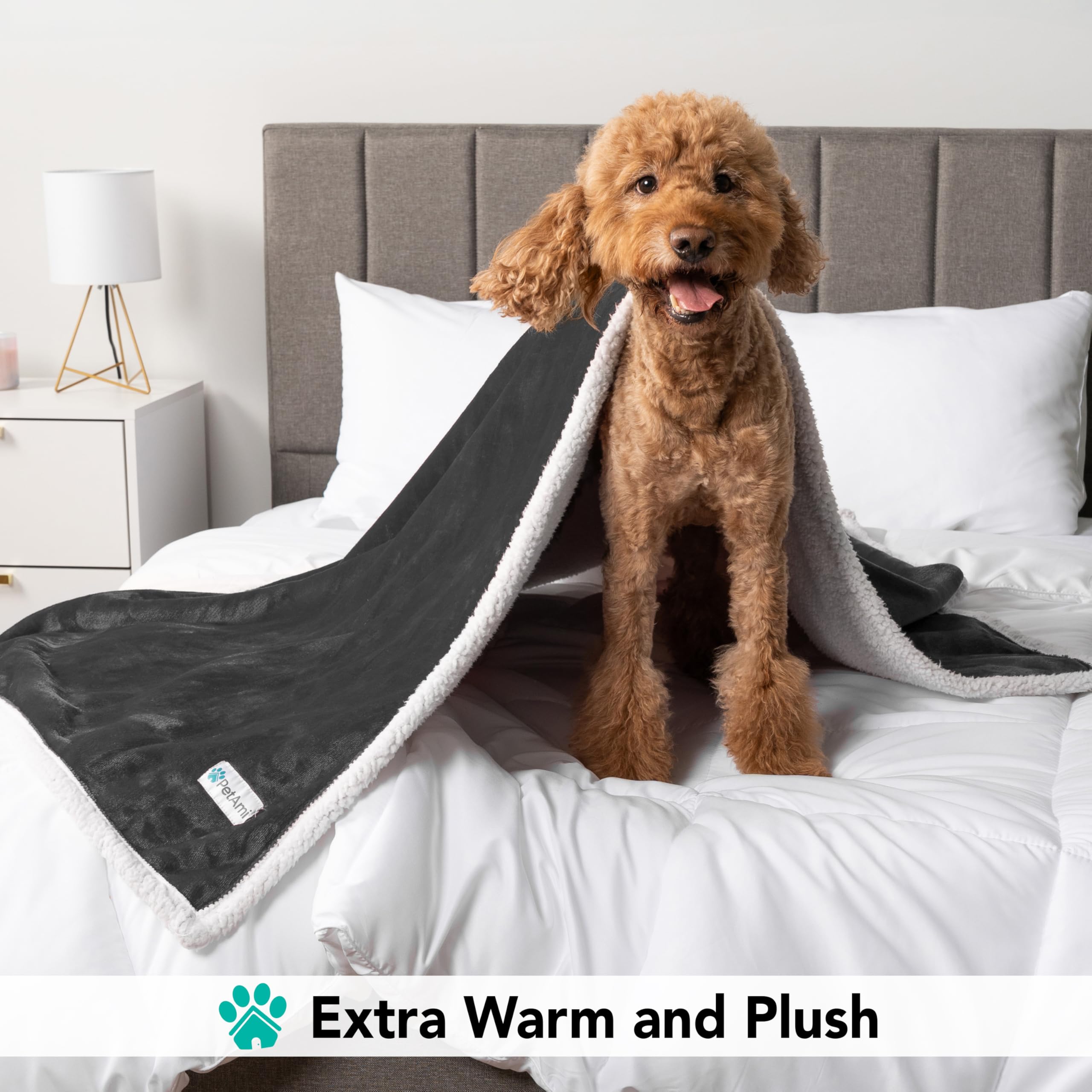 Petami Dog Blanket For Bed, Xl Pet Blanket Large Dogs, Fleece Furniture Couch Cover Protector Sofa Car Crate Kennel, Soft Sherpa Cat Throw Plush Reversible Washable, Twin 60X80 Dark Gray