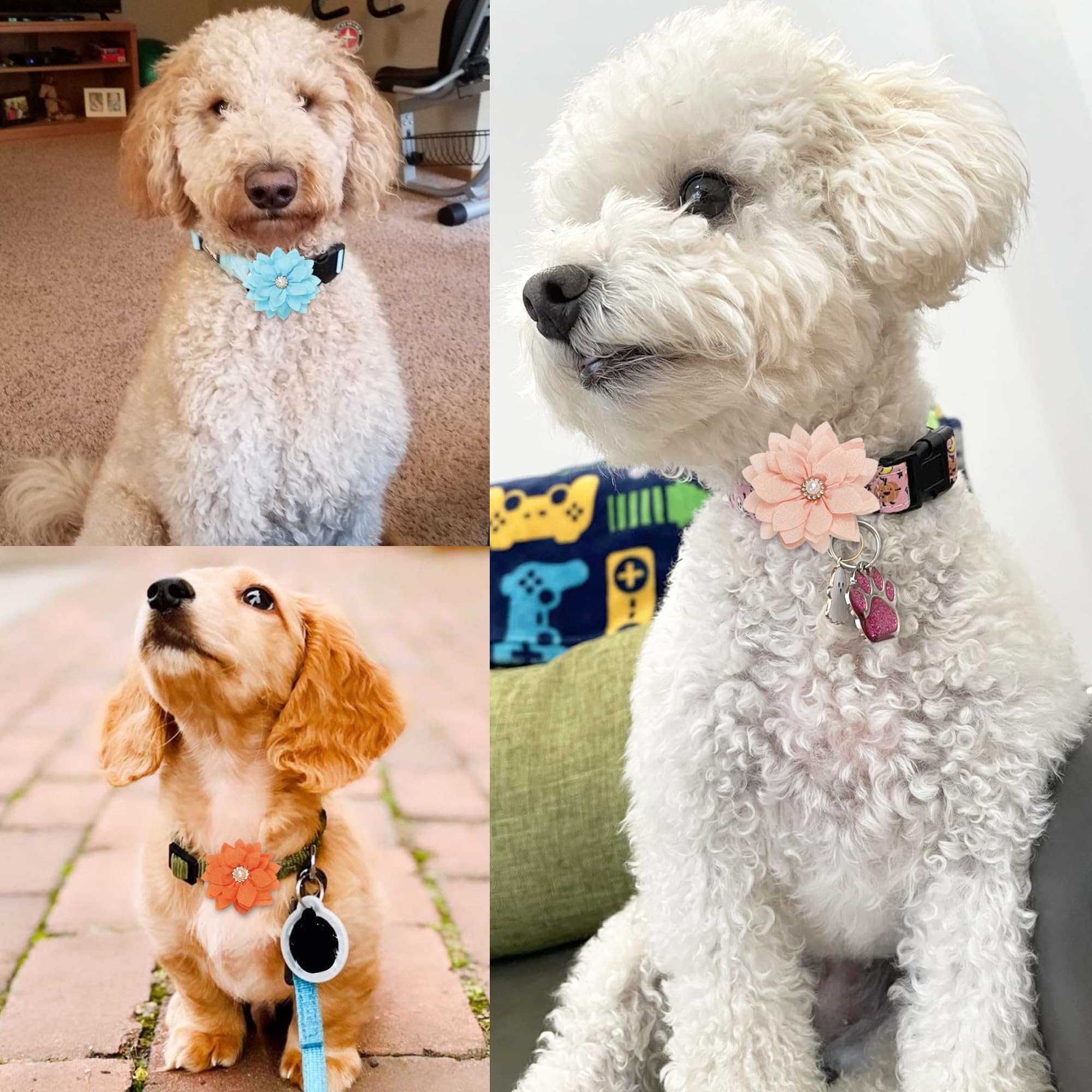 Yxiang 20 Pieces Dog Rhinestone Collar Flowers Bulk Pet Flower Bow Ties Multi-Color Dog Charms Flower For Cat Puppy Dog Collar G