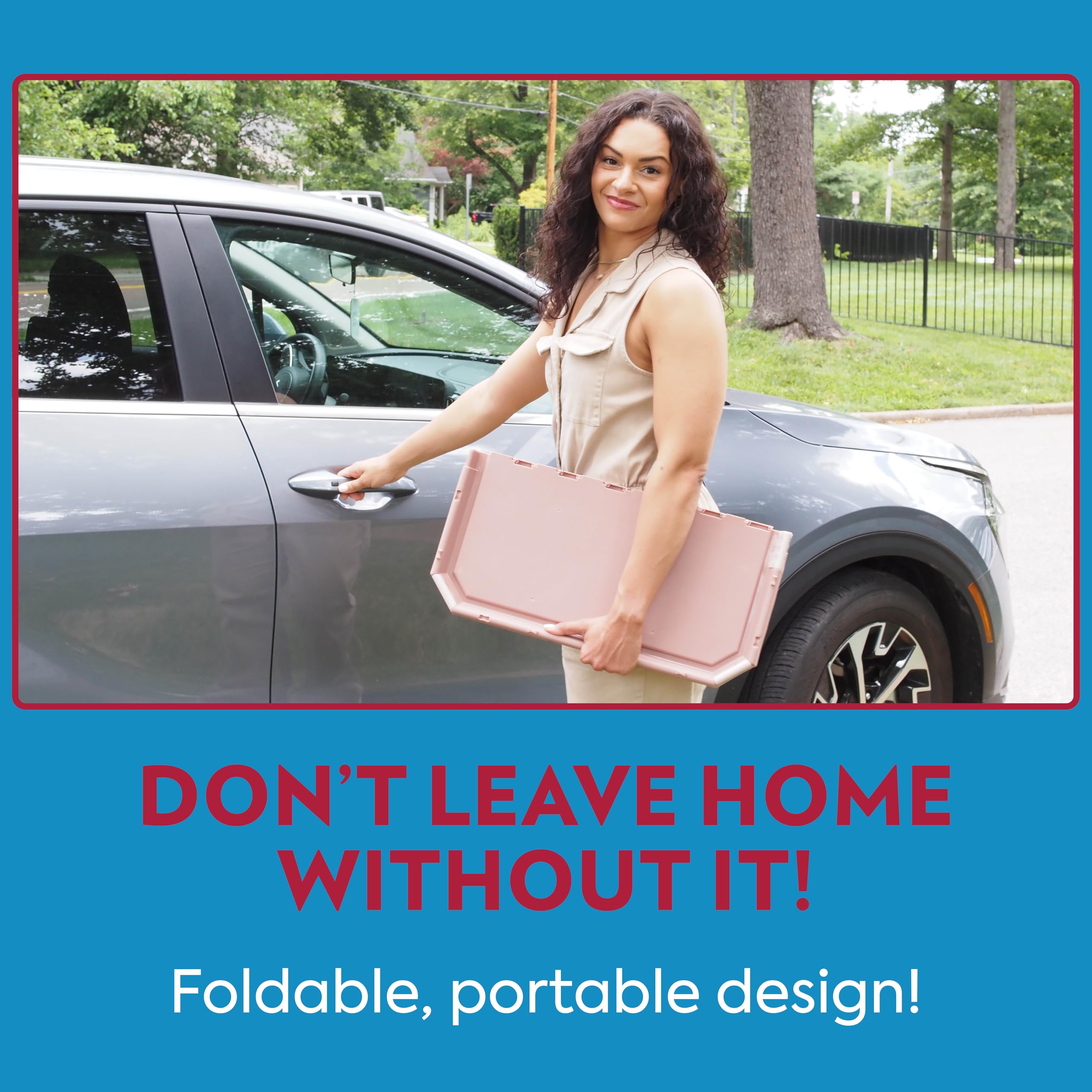 Out! Training Pad Holder For Pets, Fits Pads 21 By 21-Inch