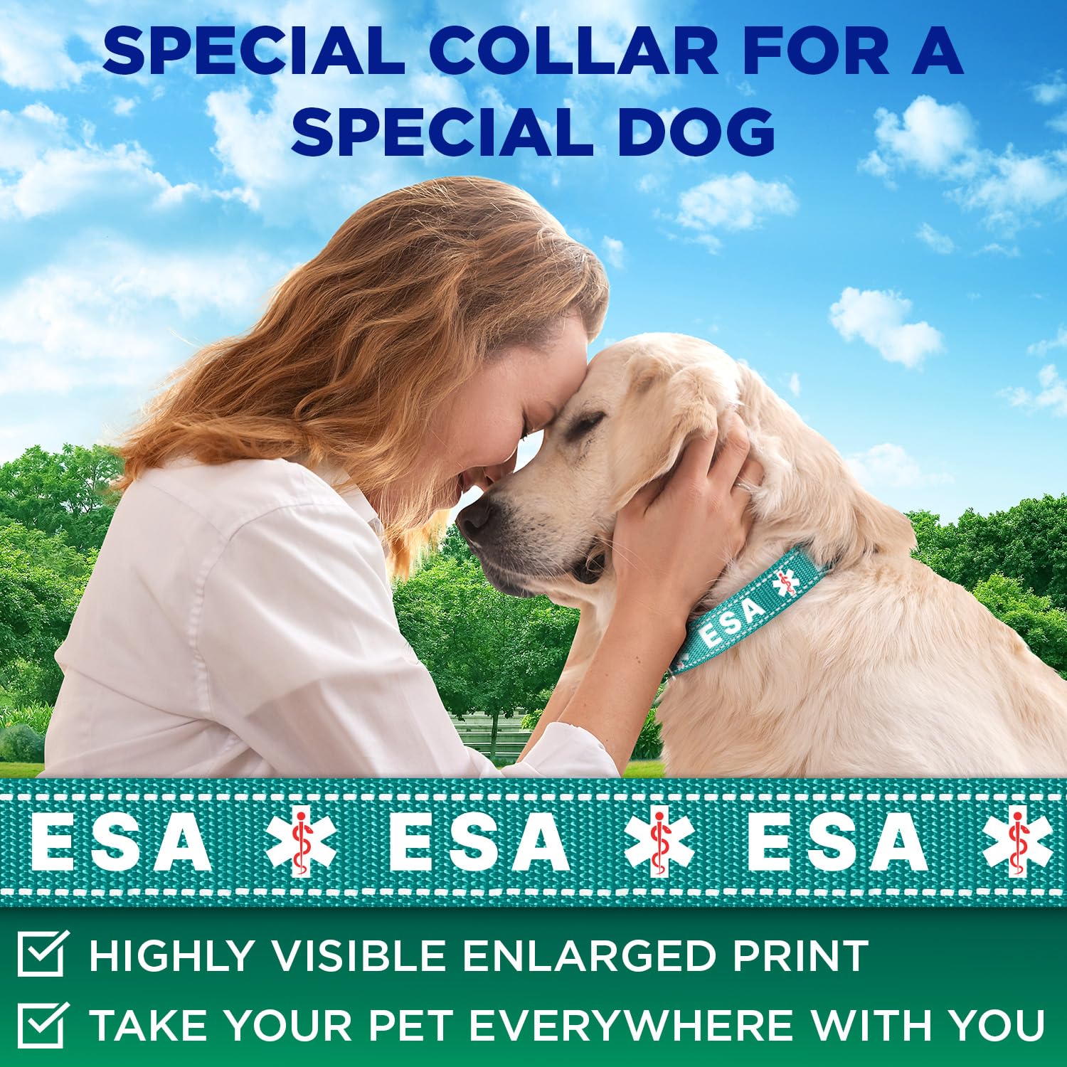 Teceum Reflective Pet Collar - Teal - Esa - M - Extra Soft Padding - Basic Nylon Dog Collar - Quick Release Buckle - Fits Small,