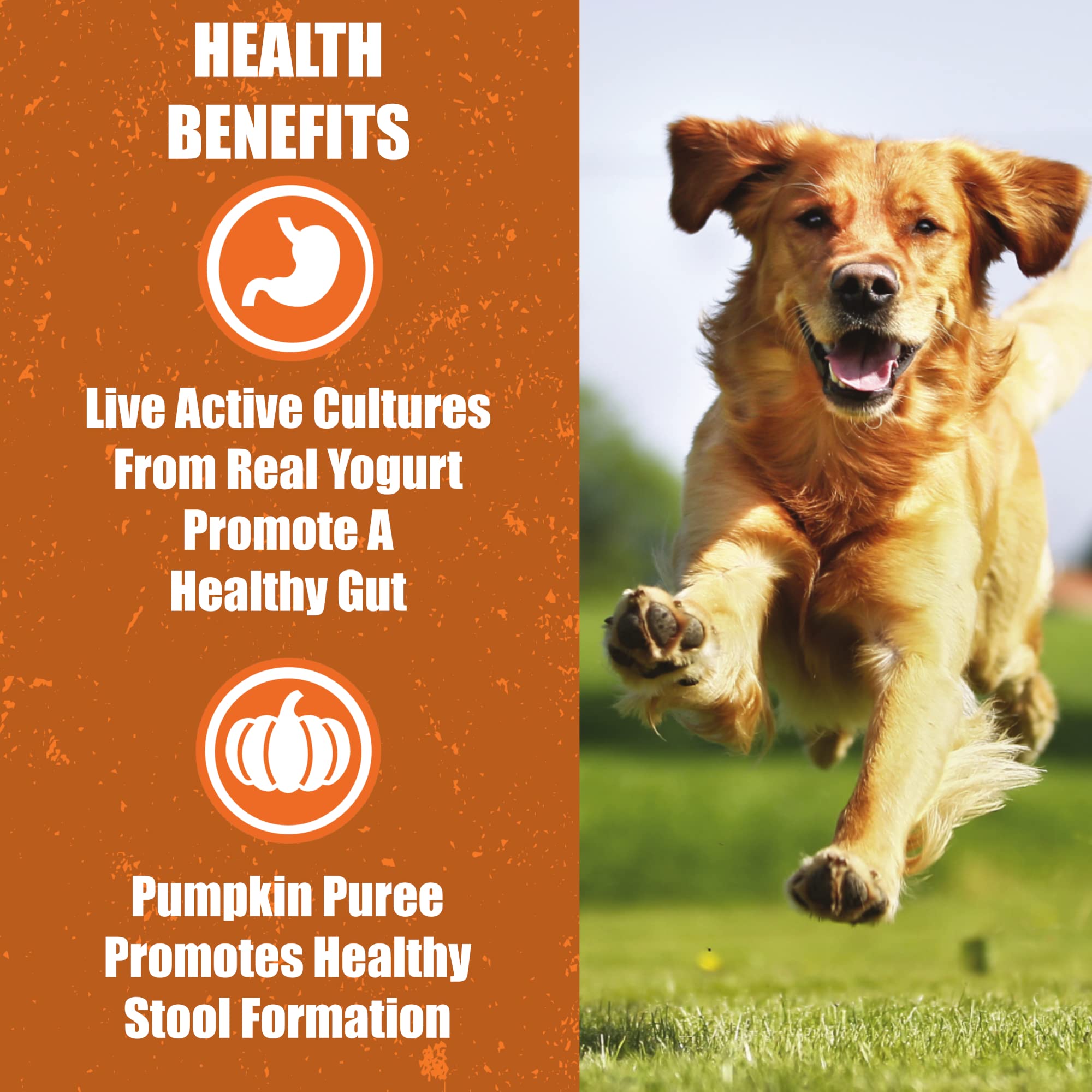 Whole Life Dog Living Treats for Dogs - Human Grade Probiotics for Digestive & Gut Health, Canine Gas, Diarrhea, Vomit & Constip