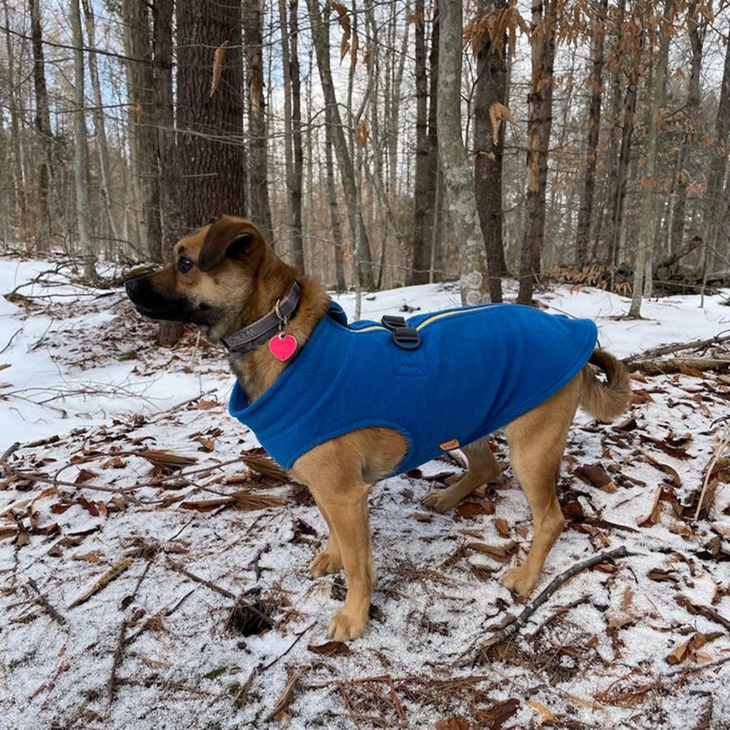Gooby Zip Up Fleece Dog Sweater - Blue, Large - Warm Pullover Fleece Step-In Dog Jacket With Dual D Ring Leash - Winter Small Do