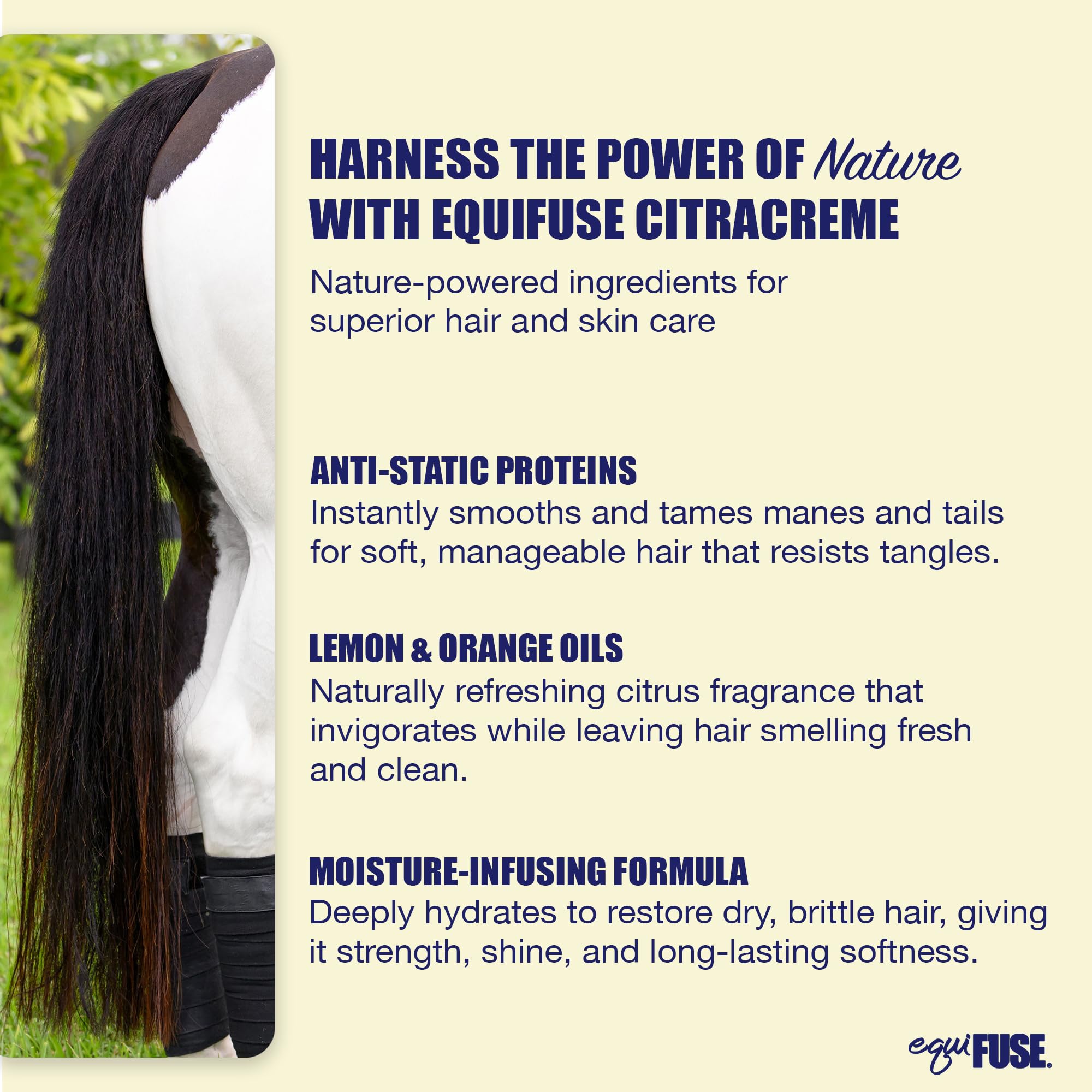 Equifuse Citracreme Deep Conditioner + Rehydrant For Horses | Improves Hair And Enhances The Look, Feel And Manageability Of Manes And Tails | 16Oz