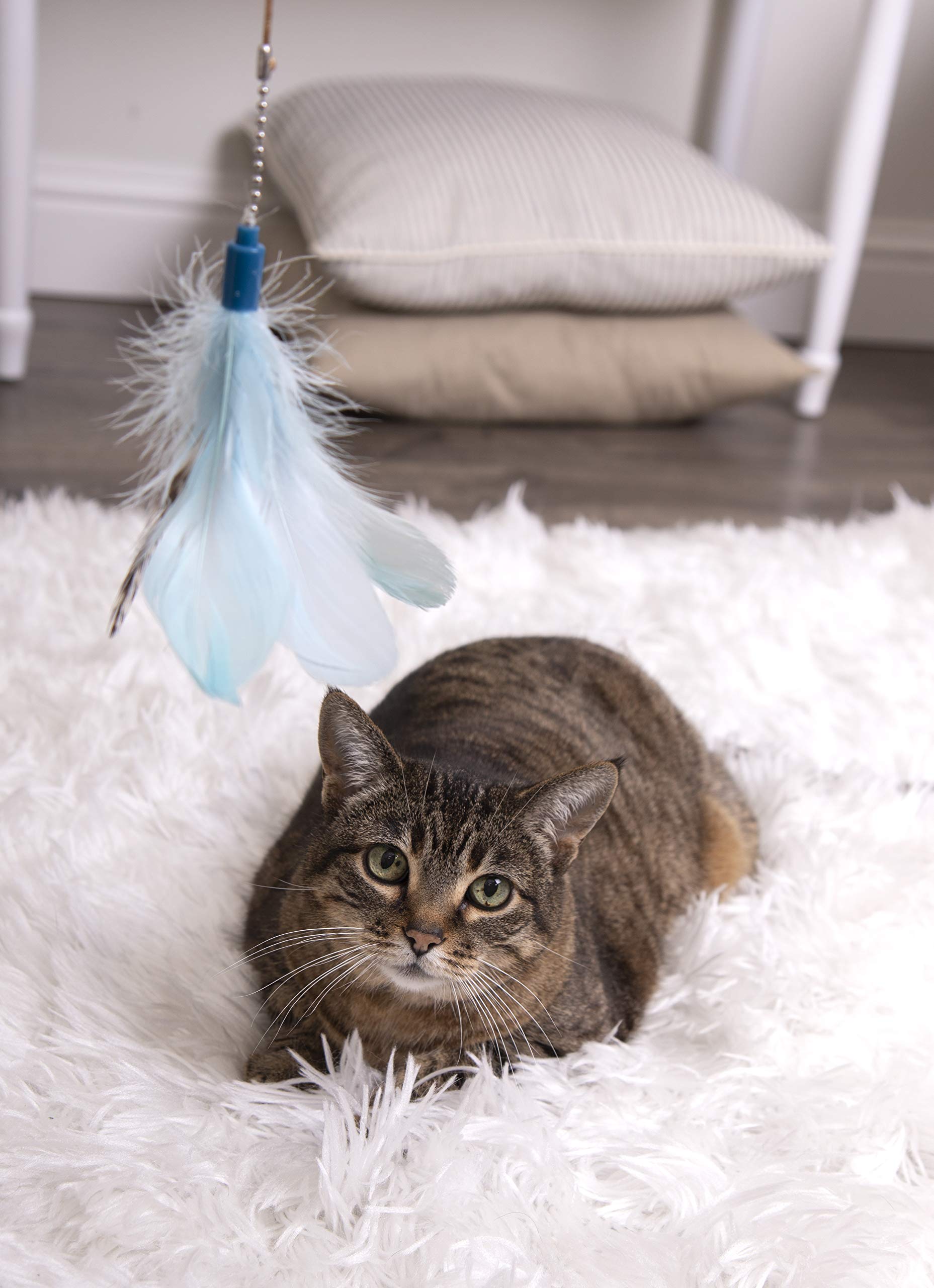 Smartykat Frisky Flyer Feather Wand Cat Toy, Extendable Up To 24' - Blue, One Size