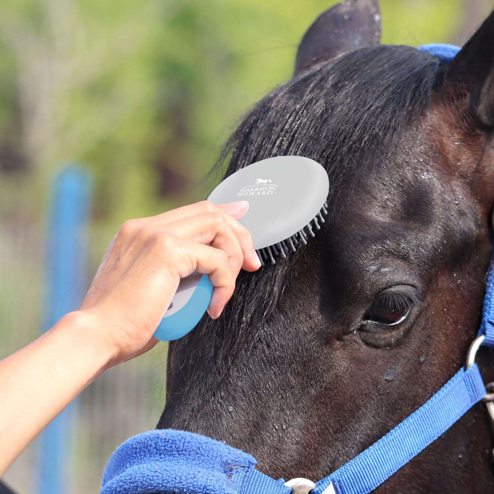 Harrison Howard Horse Mane And Tail Brush - Professional Grooming Brush, Equestrian Detangler, Non-Slip, Light Blue