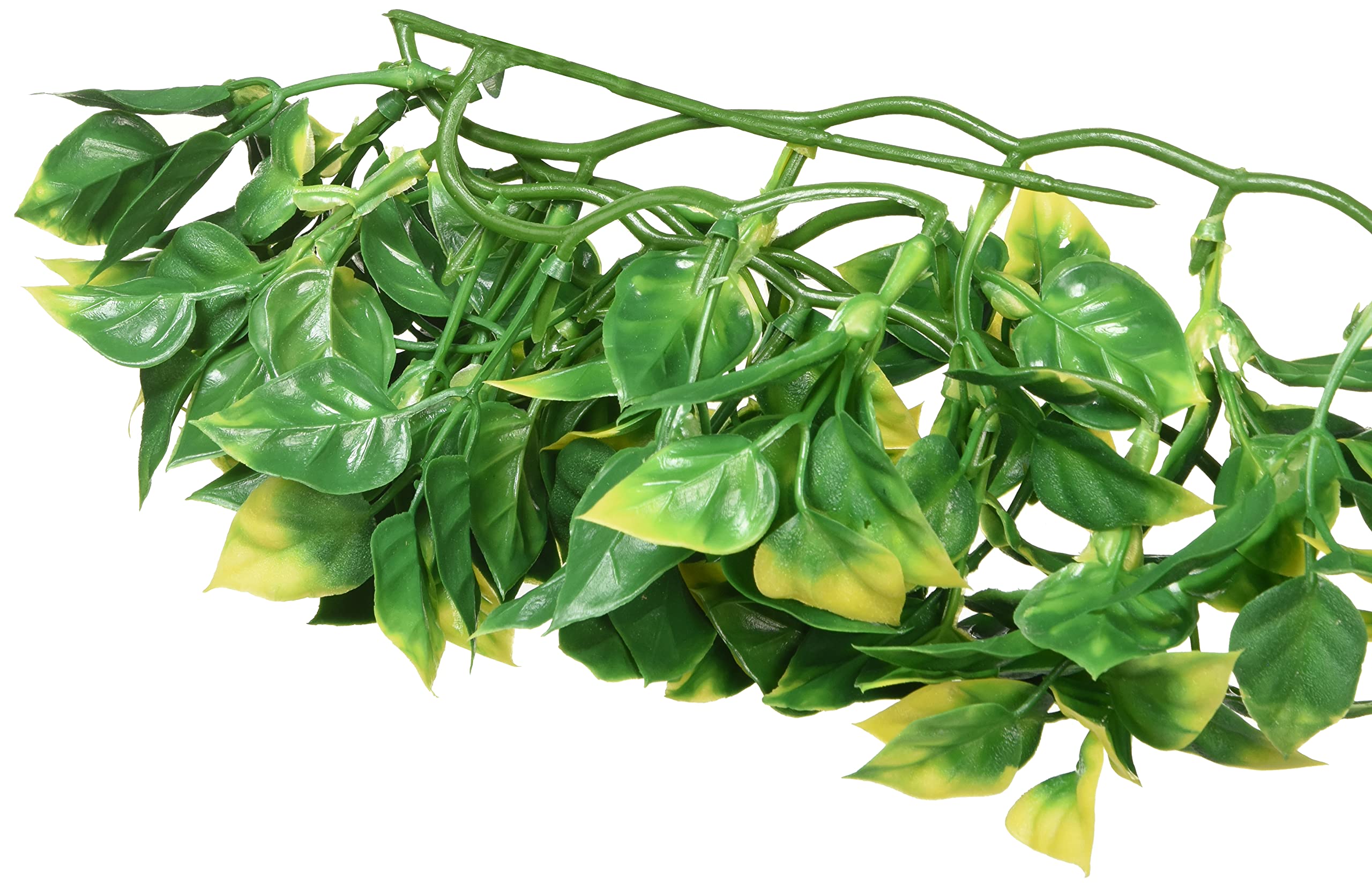 Exo Terra Plastic Terrarium Plant, Medium, Amapallo