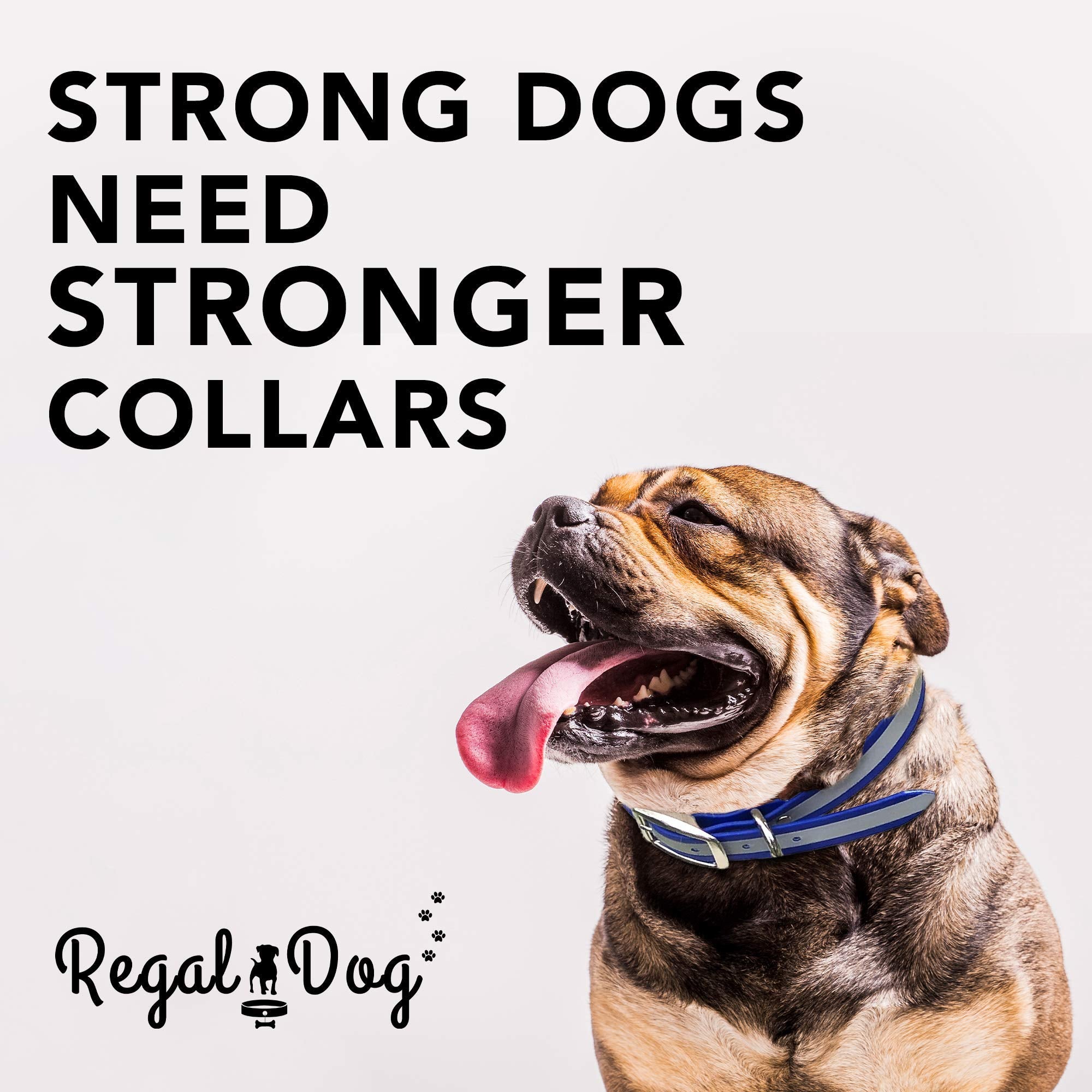 Regal Dog Products Small Blue Heavy Duty Reflective Dog Collar With Durable Metal Buckle And D Ring Adjustable, Chew Proof & Wat