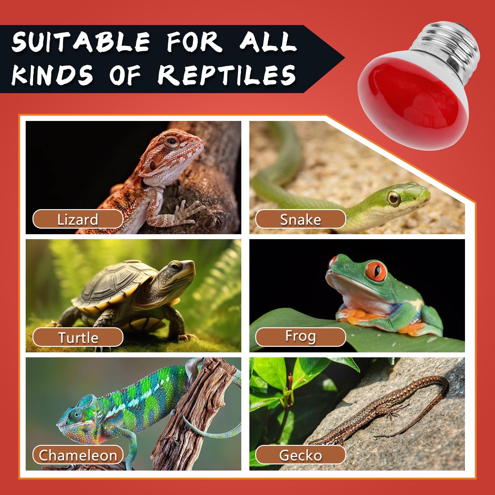LUCKY HERP Infrared Heat Lamp, 25W Reptile Heat Lamp 2 Pack Red Heat Lamp Bulbs, Infrared Basking Spot Heat Light Bulb, Amphibia