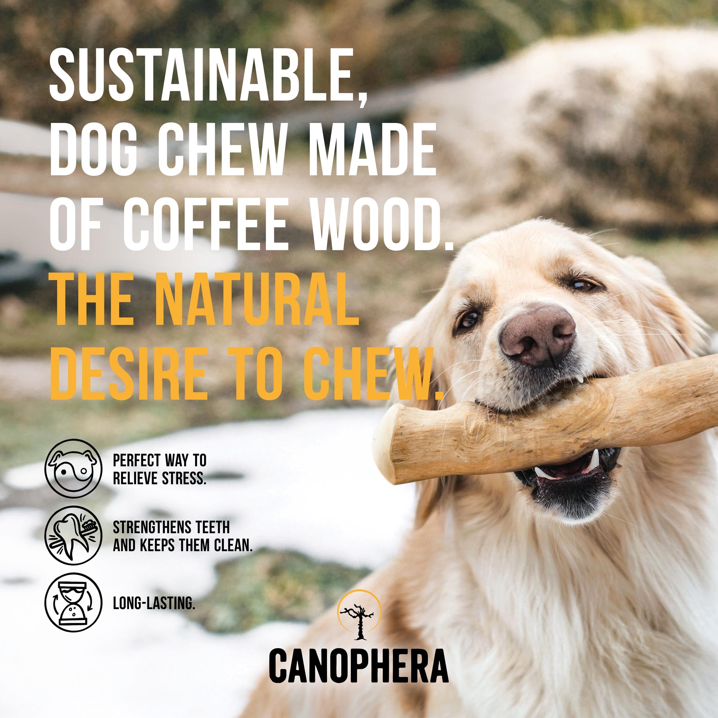 Canophera Coffee Wood Dog Chew Sticks For Regular Chewers - Size Small
