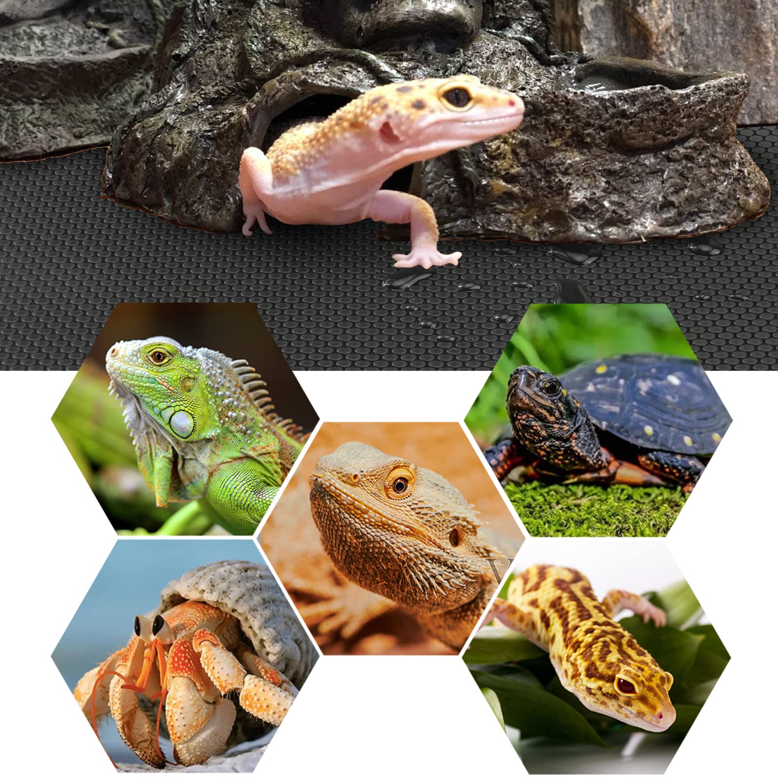 Vodolo Bearded Dragon Tank Accessories, Reptile Terrarium Carpet Substrate for Leopard Gecko, Lizard, Iguana, Snake, Tortoise, N