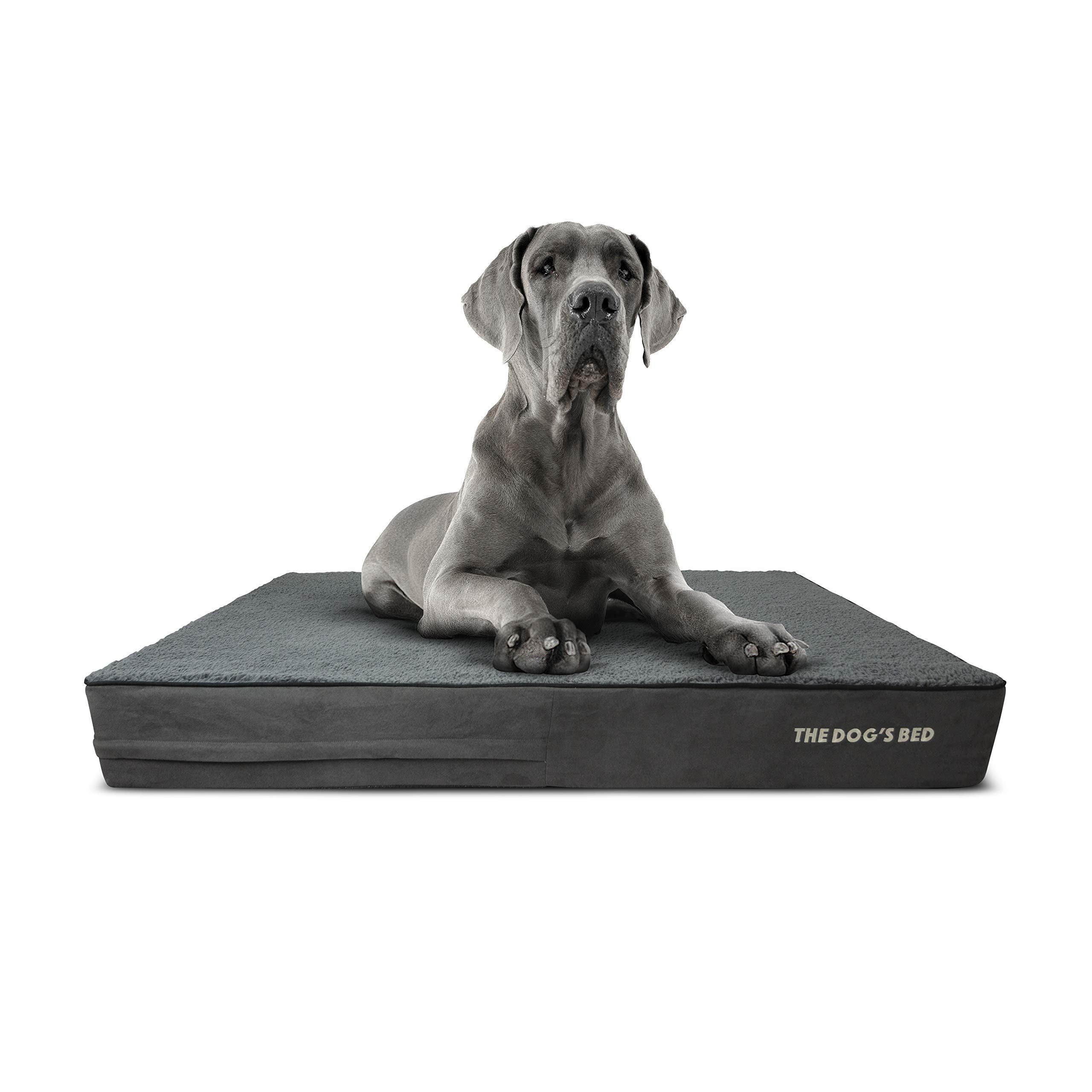 The Dogs Bed Orthopedic Memory Foam Dog Bed, XXL Grey Plush 54x36, Pain Relief for Arthritis, Hip & Elbow Dysplasia, Post Surger