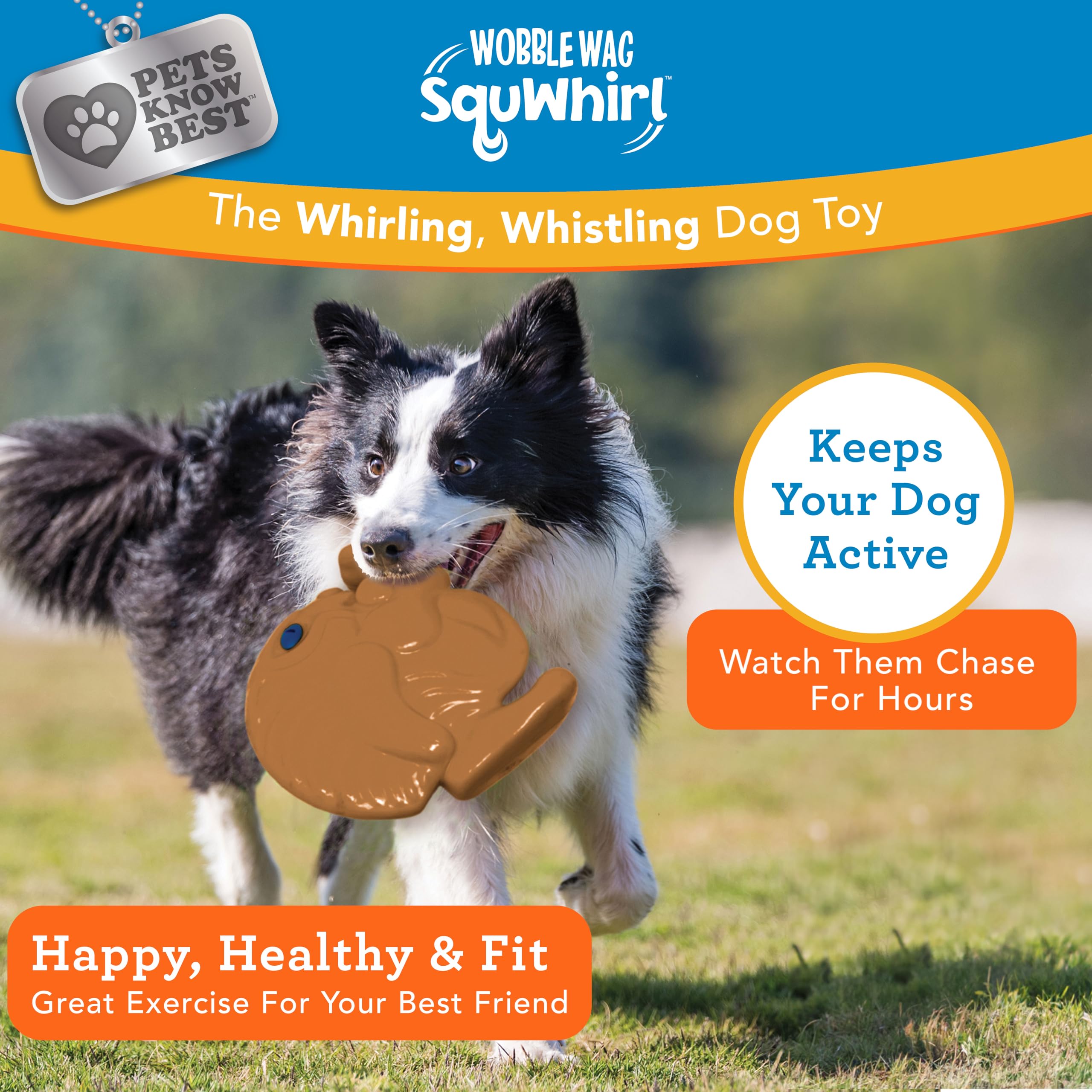 Pets Know Best Squwhirl- The Whirling Whistling Interactive Frisbee Dog Toy, Outdoor Frisbee For Fetch