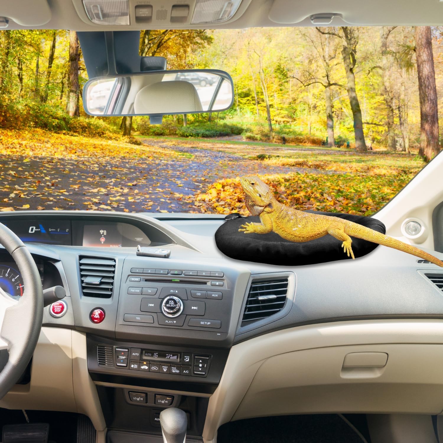 Forzena Bearded Dragon Bed With Suction Cup Soft Sleep Cushion Mat Washable For Travel Reptile Tank Pad Small Animal Carrier For