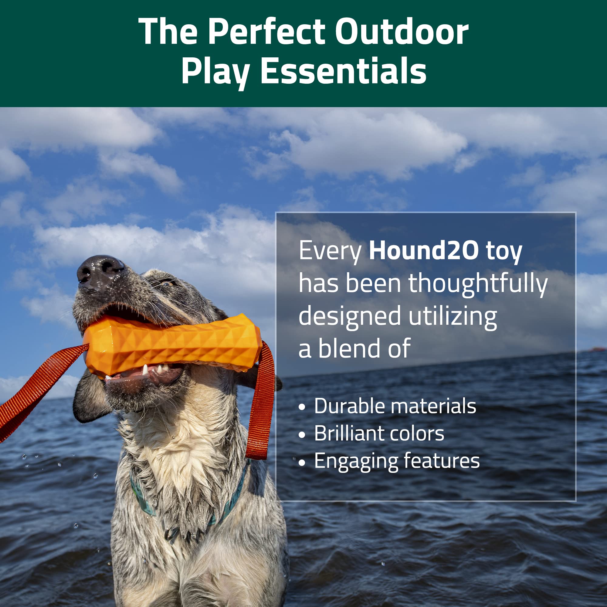 Playology Hound2O Dog chew Toys - Tough  Interactive chew Toys for Large  Moderate chewers - chew, chase  Fetch - Durable  Non-T