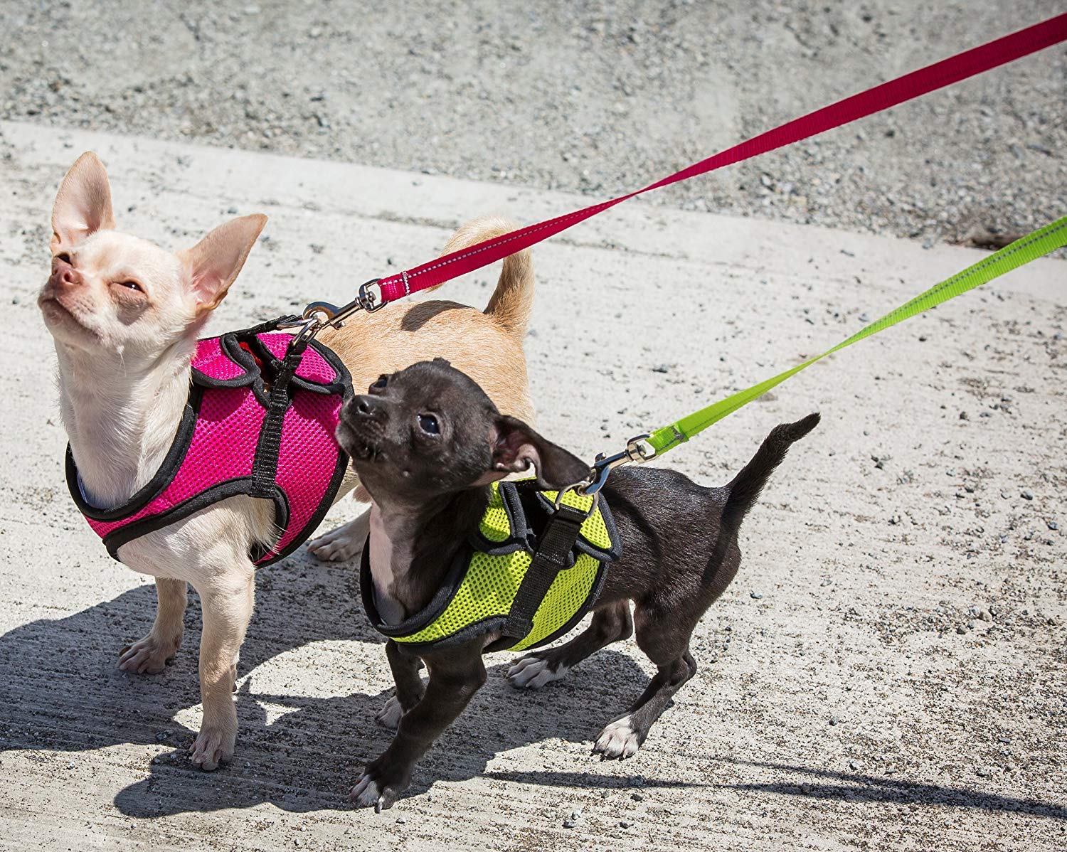 RC Pet Products Step in Cirque Soft Walking Dog Harness, XX-Small, Raspberry