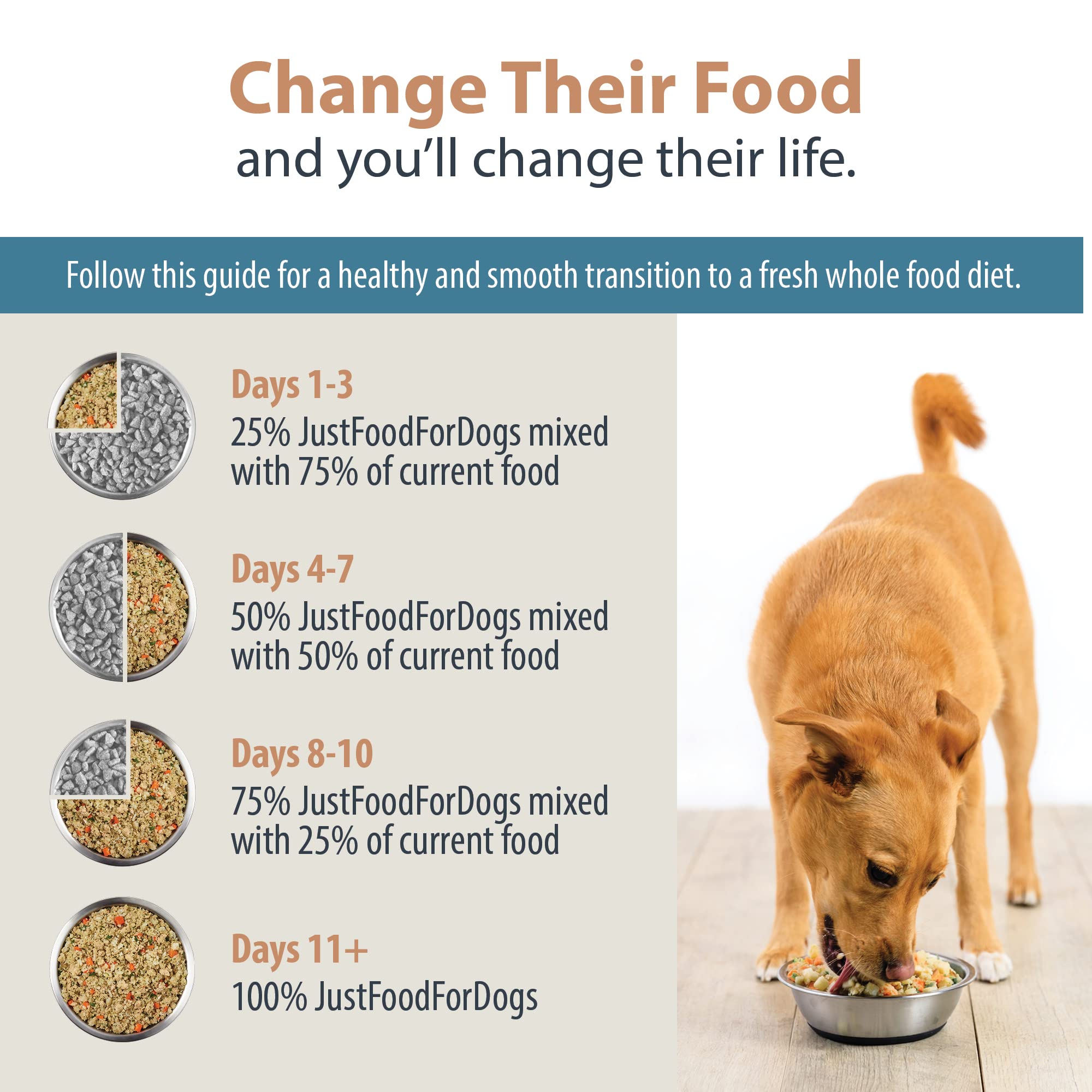 JustFoodForDogs Pantry Fresh Wet Dog Food, Complete Meal or Topper, Chicken & White Rice Human Grade Recipe - 12.5 oz (Pack of 6