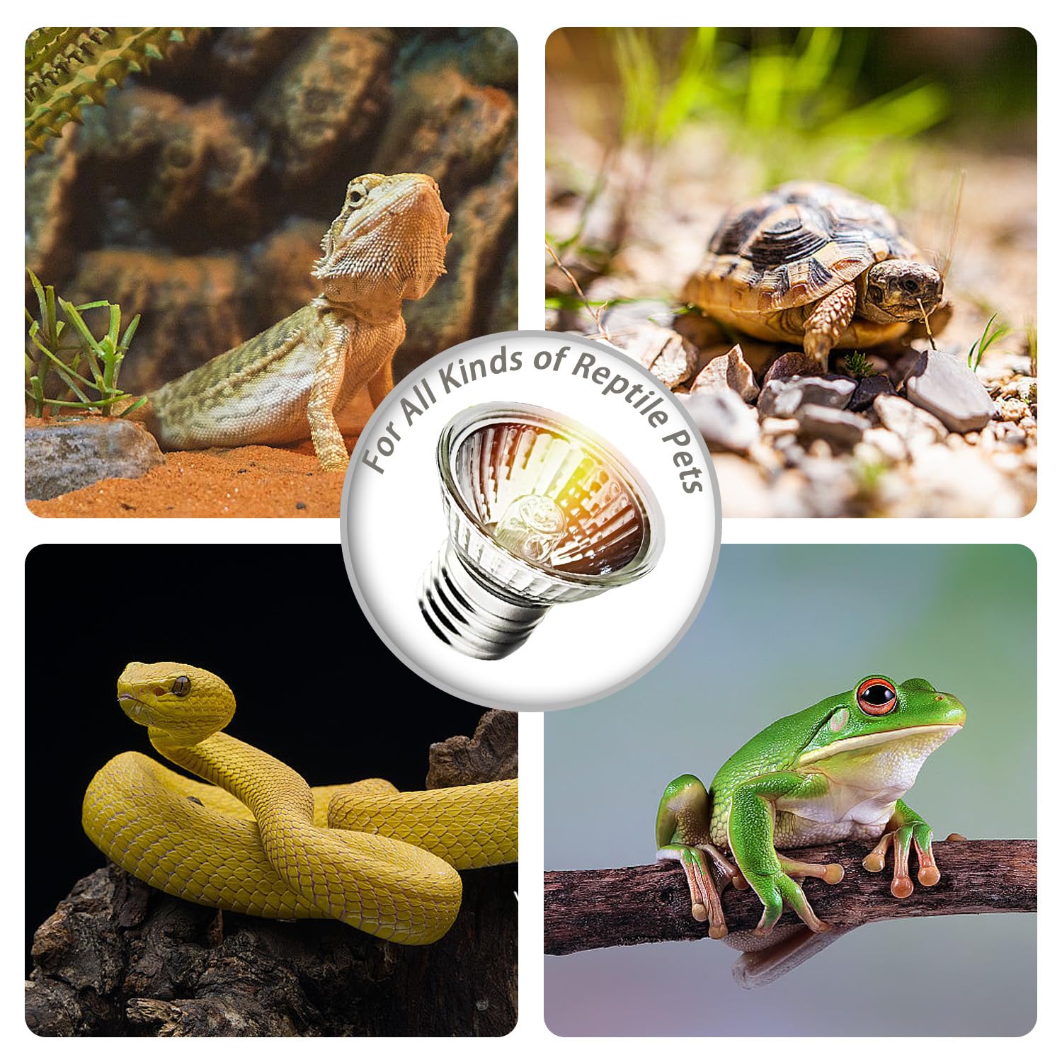 KOHEOPT 2-Pack 25W UVA UVB Bulbs, Light Turtle Heat Lamp for Reptiles and Amphibian Tanks, Terrariums and Cages, Fit E26 Heat Re