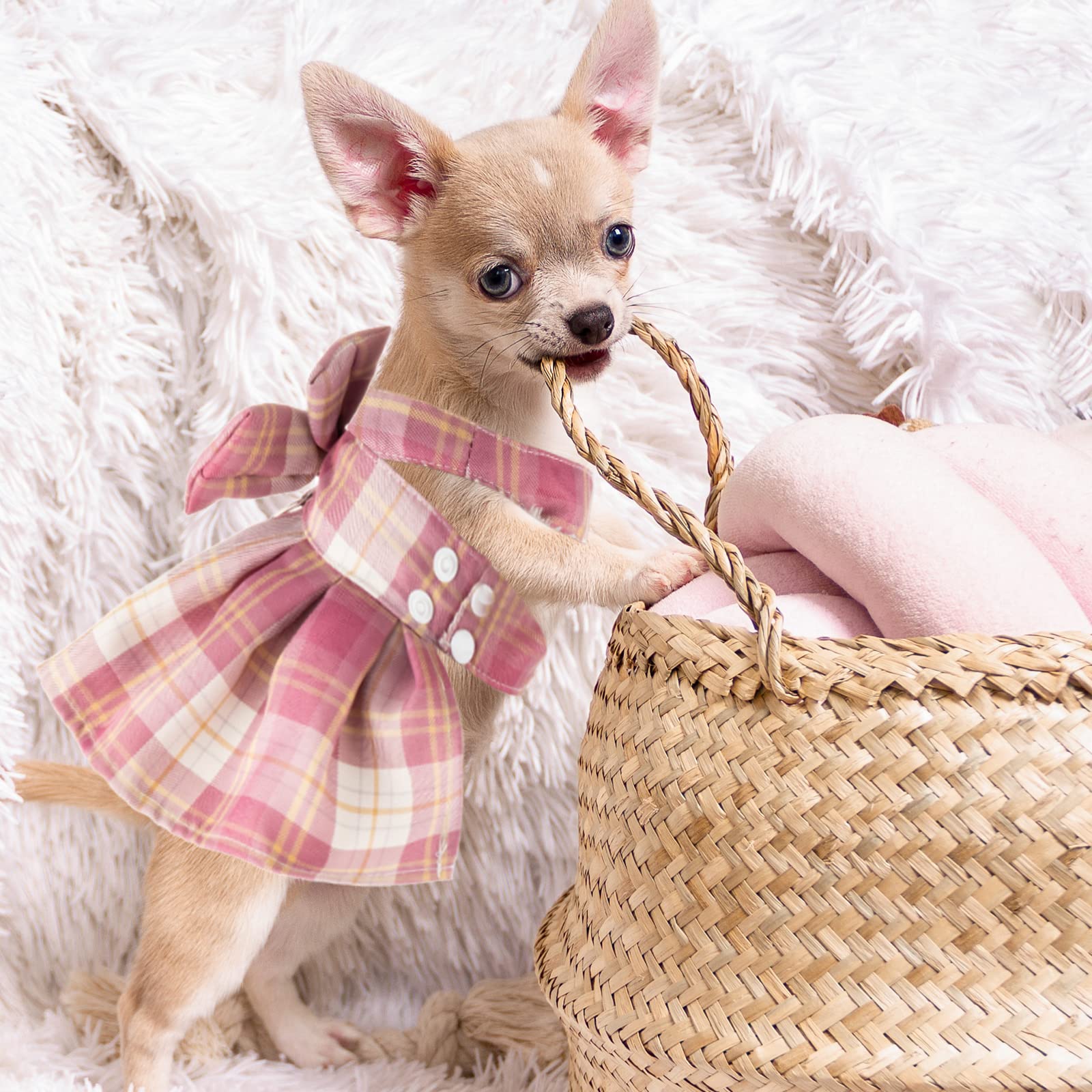 Potchen 4 Pcs Cute Plaid Dog Dress Set with Bow Tie Harness & Leash for Small Dogs, Puppy Clothes for Girls Summer Outfits(Xs,Da