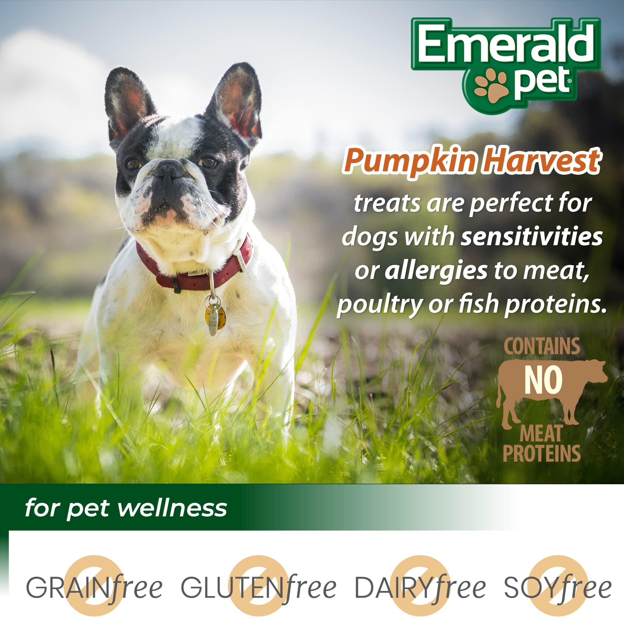 Emerald Pet Pumpkin Harvest Pumpkin Dog Treats - Low-Fat Chewy Natural Dog Treats with Pumpkin for Digestive Health - Meat Free,
