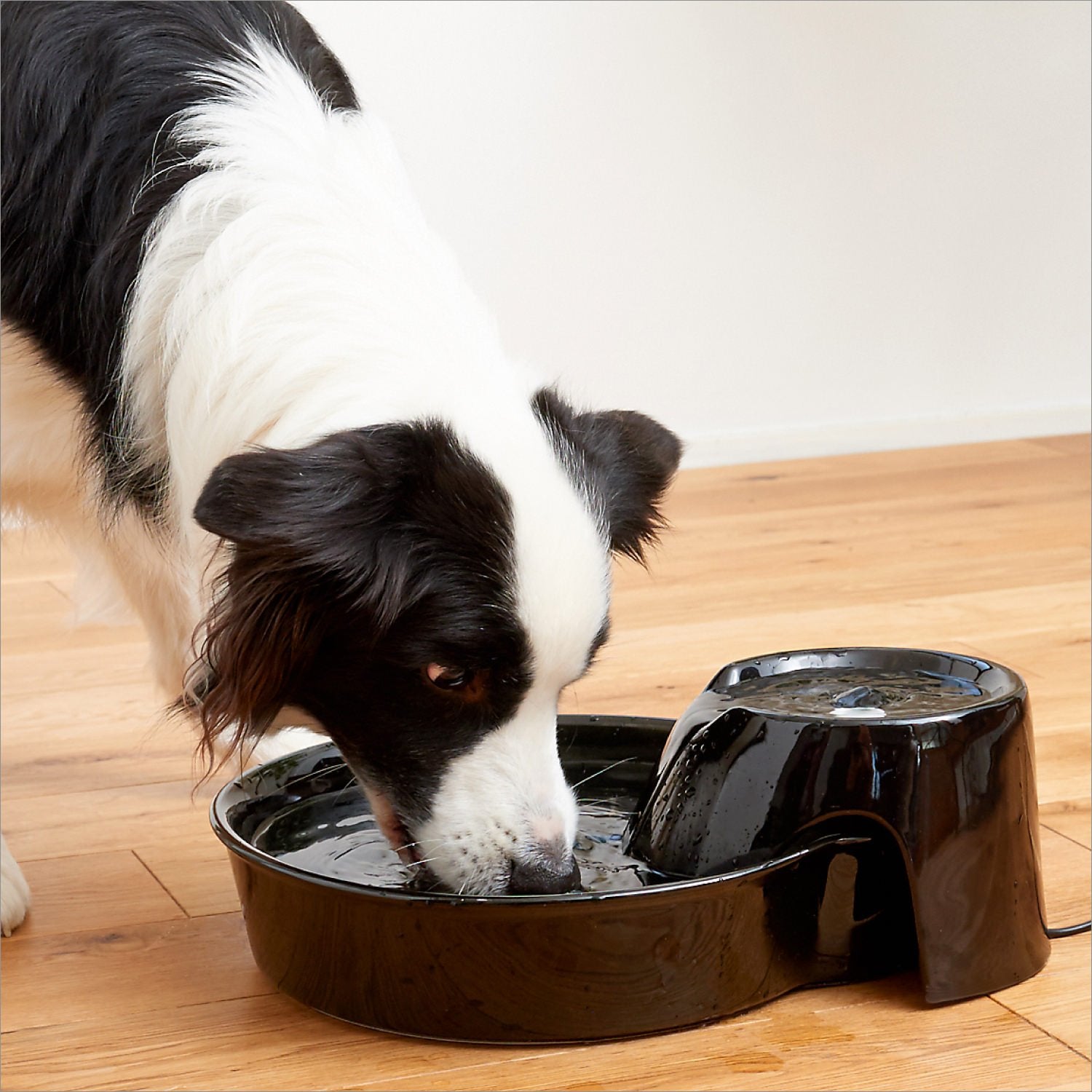Pioneer Pet Big Max Ceramic Drinking Fountain, 128 oz, Black - Ideal for Cats and Dogs, Stylish & Durable Design