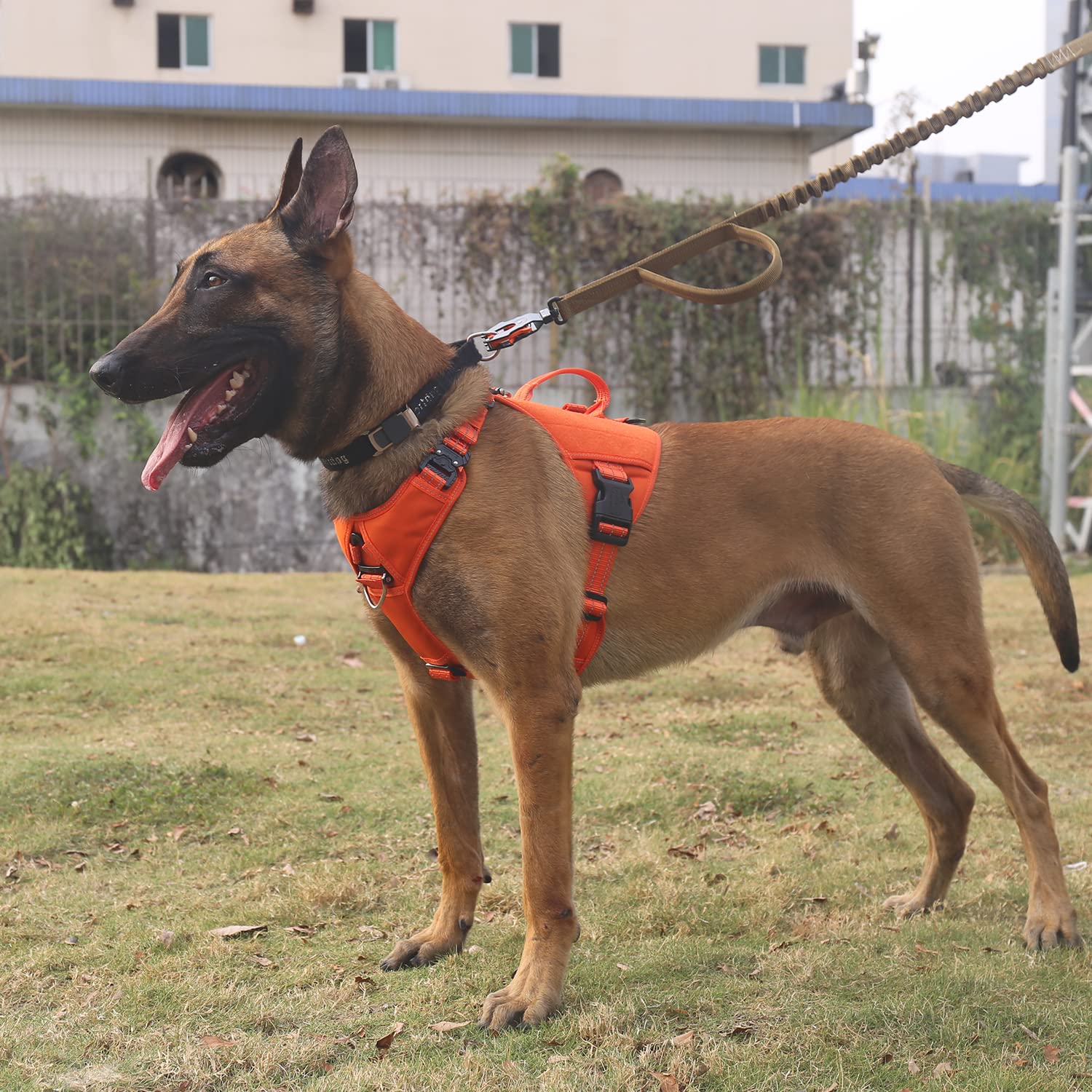 Icefang Gn8 Quick-Moving Tactical Dog Harness With Handle,Reflective Pet Vest,No-Pull Front Lead,5-Points Adjustable,Hook And Loop Panel For Patch (Large (Pack Of 1), Orange)