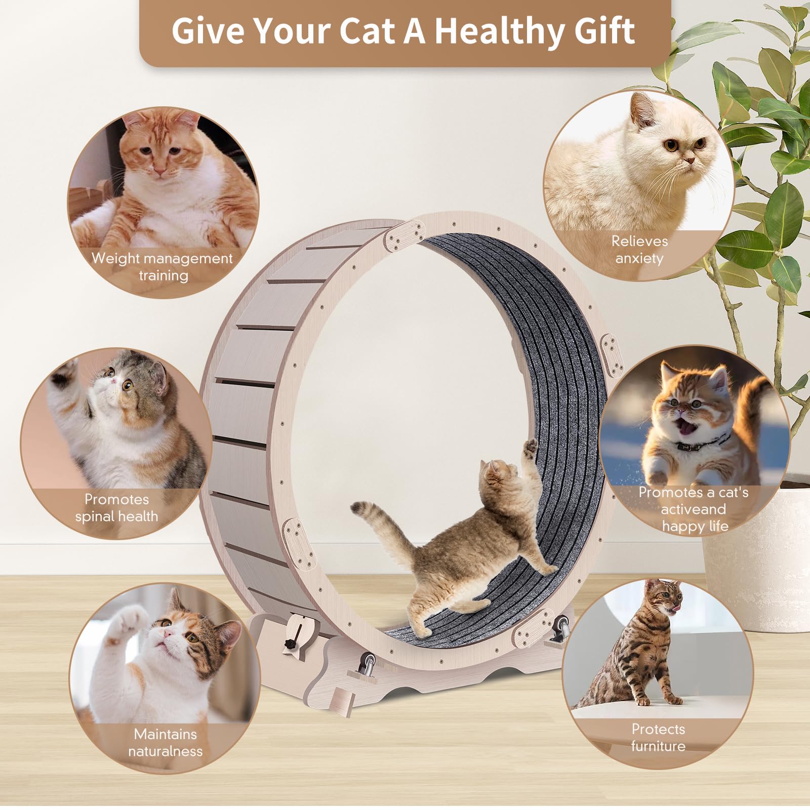 Upgraded Cat Wheel Exerciser For Indoor,Large Cats Treadmill,Cats Running Wheel With Silent Wheels,Loss Weight Device (Pure Wood