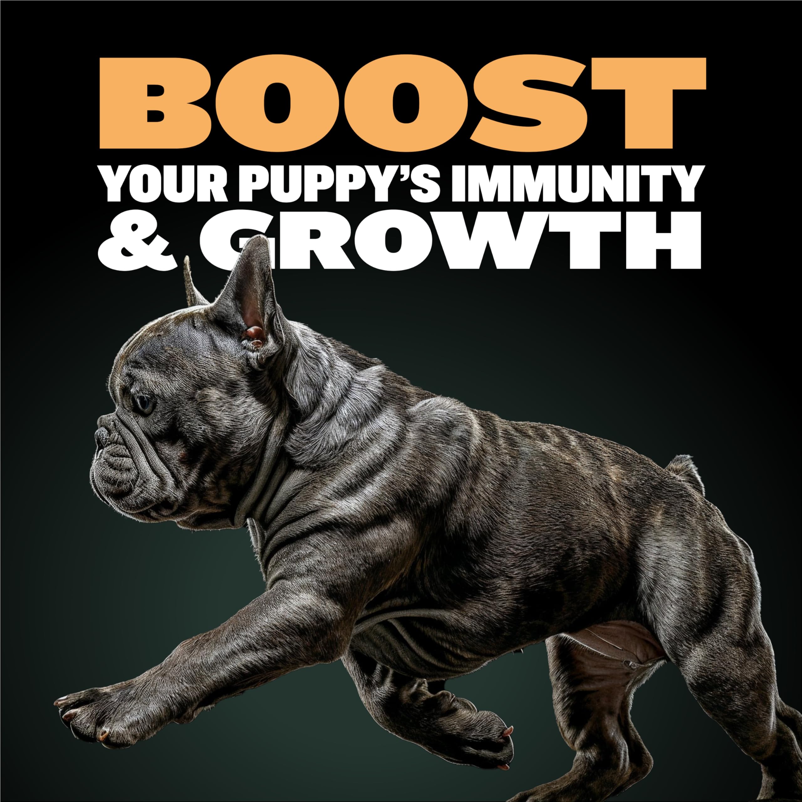Bully Max Wet Puppy Food - Instant Fresh Dehydrated High Protein Soft Dog Food with Chicken - Healthy Growth for Small & Large B