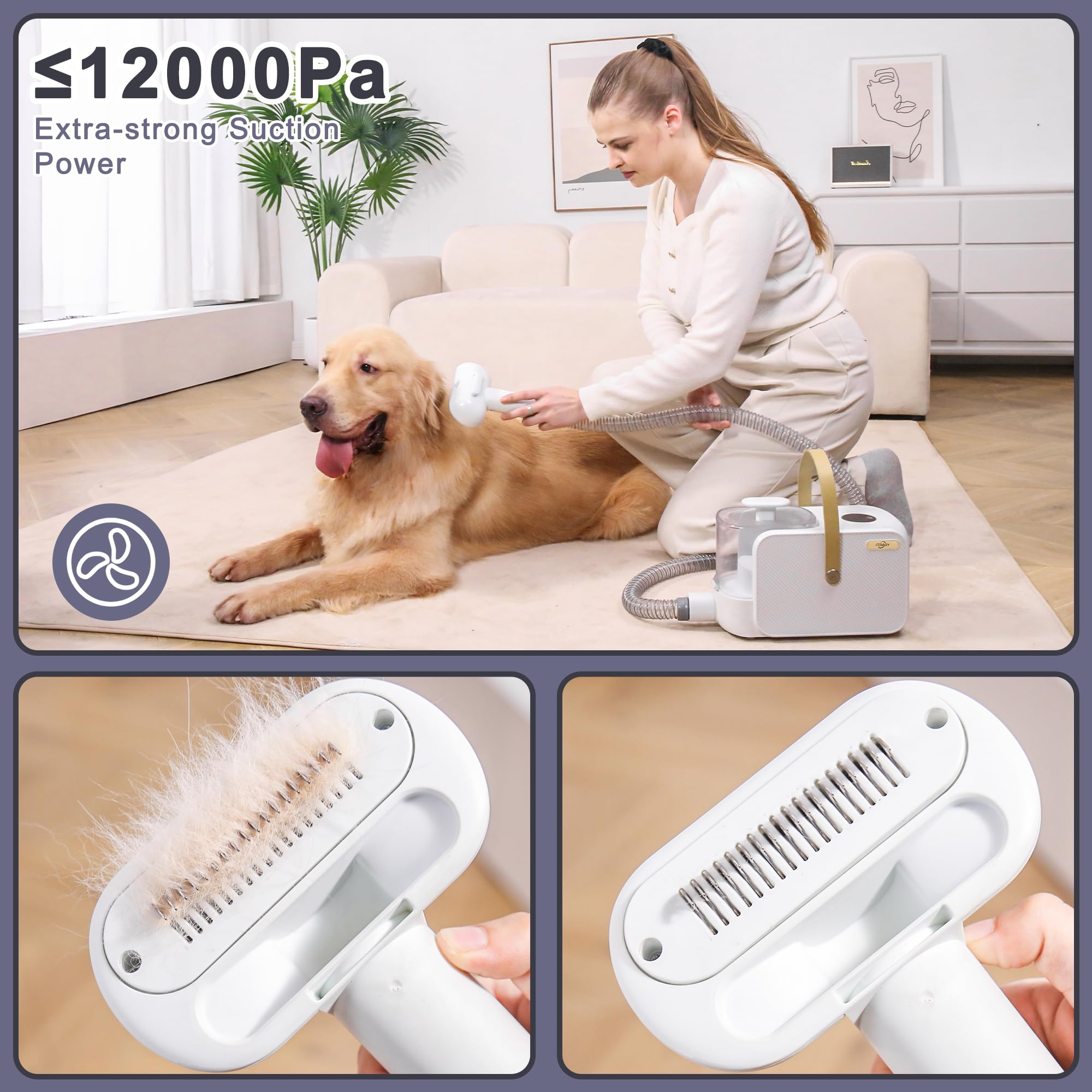 Itbaby 2.5L Dog & Cat Grooming Kit - Professional Clippers With 8 Tools, Quiet Pet Vacuum Groomer (White)