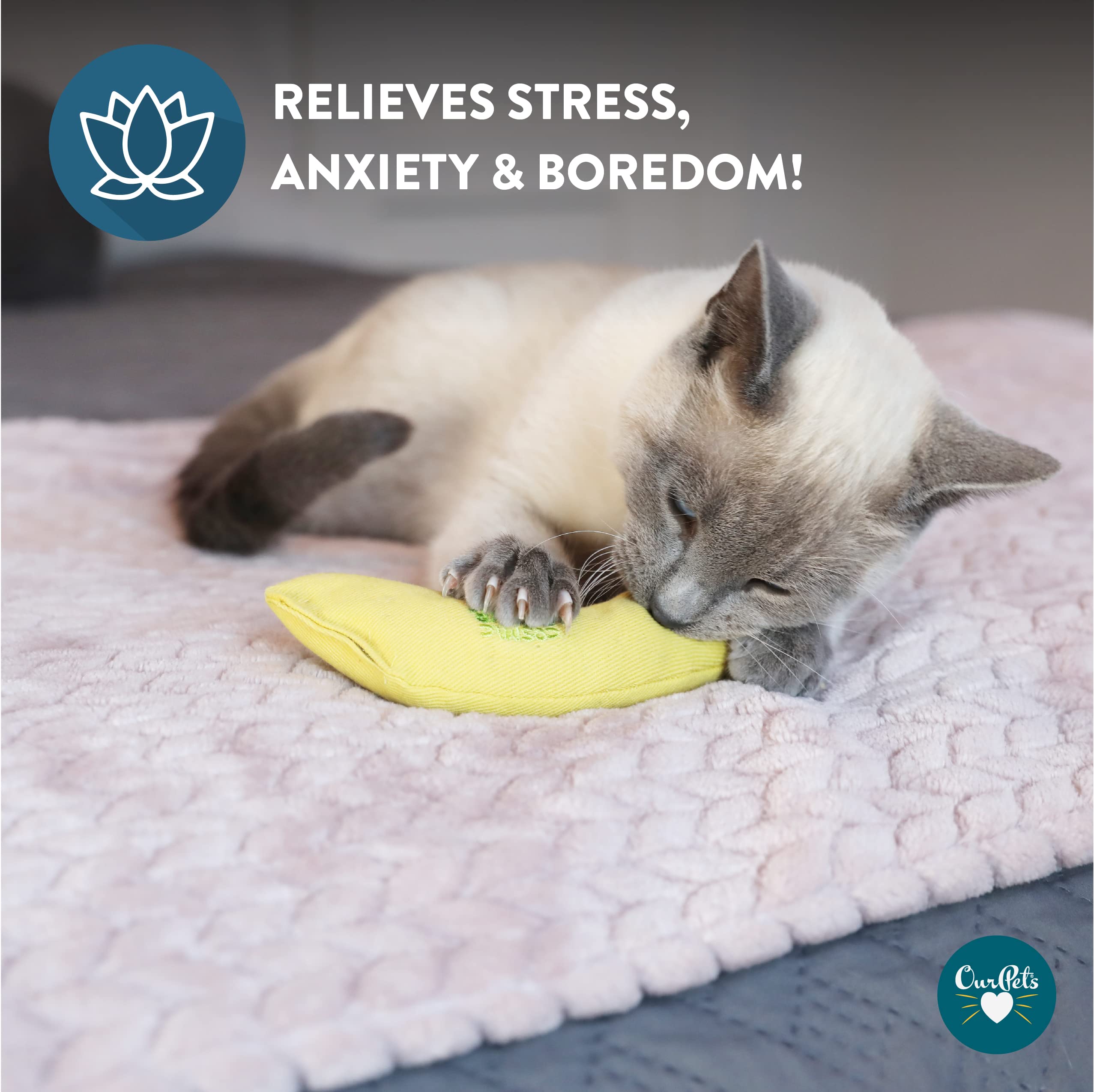 100% Catnip Filled Cat Toy (Set Of 2) Style: Yellow