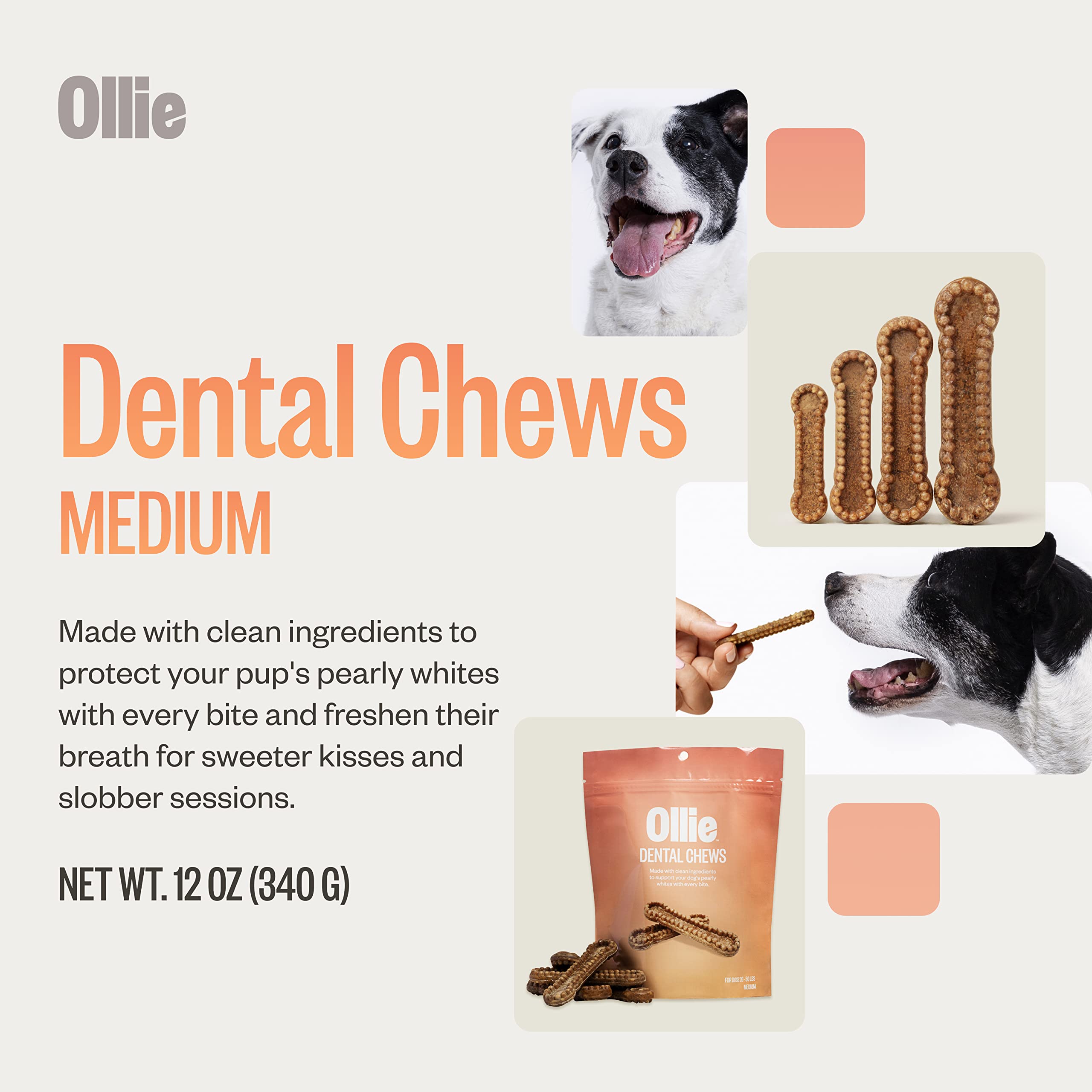 Ollie Dental Chews for Medium Dogs, 12 Oz, Fresh Breath, Teeth Cleaning Treats, Sticks for Dog Oral Care, with Parsley and Cinni