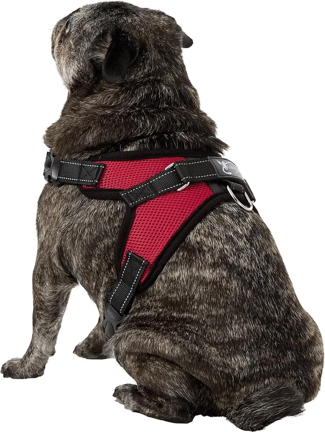 Copatchy No Pull Reflective Dog Harness - Adjustable Mesh for All Weather, Medium Size, Red