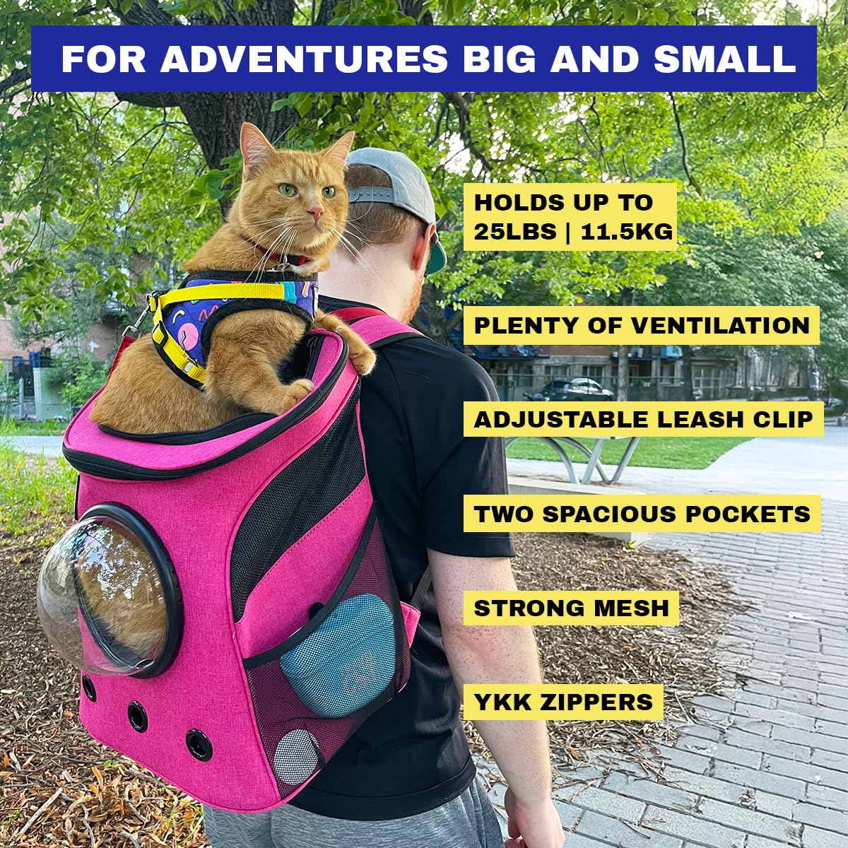 Fat Cat Backpack Carrier - Airline Approved Cat Carrier With Space Capsule Bubble For For Small Cats, Kitten - Premium Deep Rose