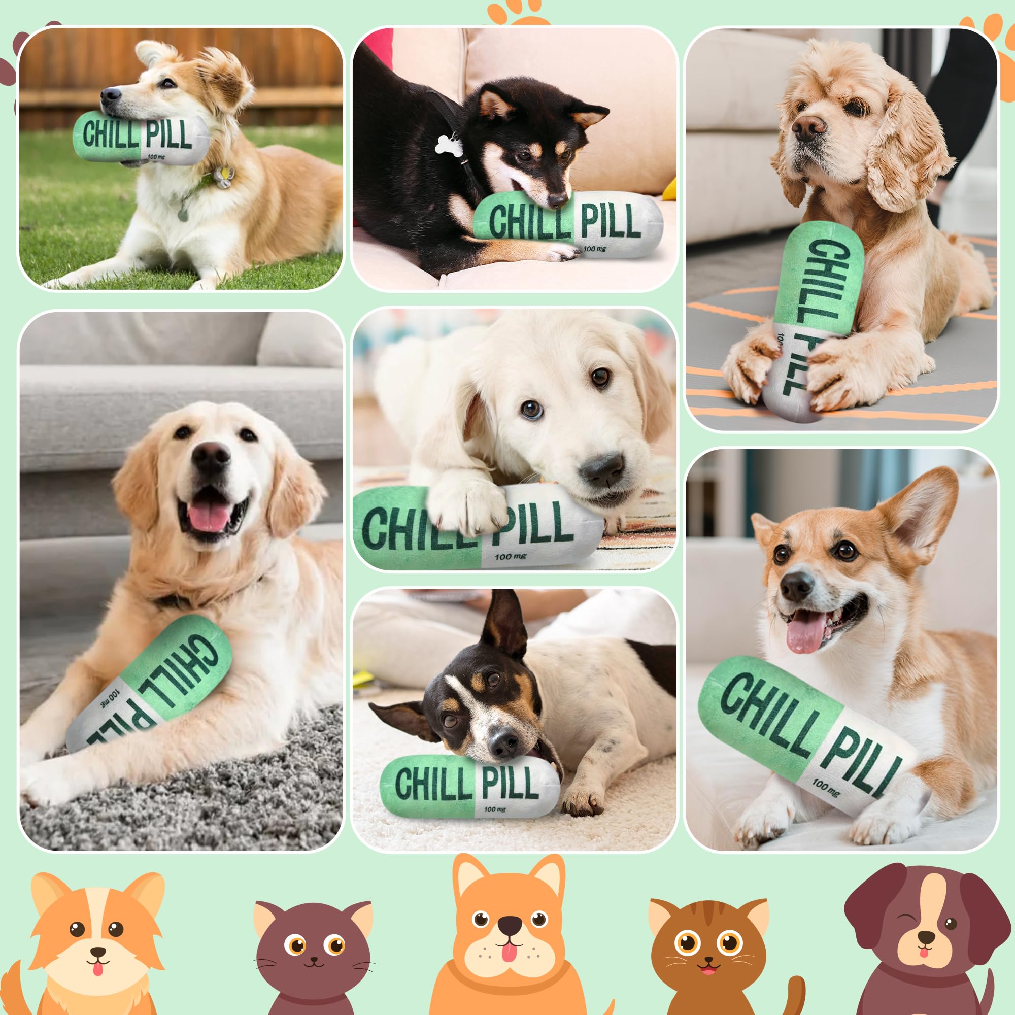 Cuweipeng Funny Dog Squeaky Toy - Green Chill Pill Capsule Shaped Teething Squeak Plush Pet Toy Bite Kick Indoor Interactive Tra