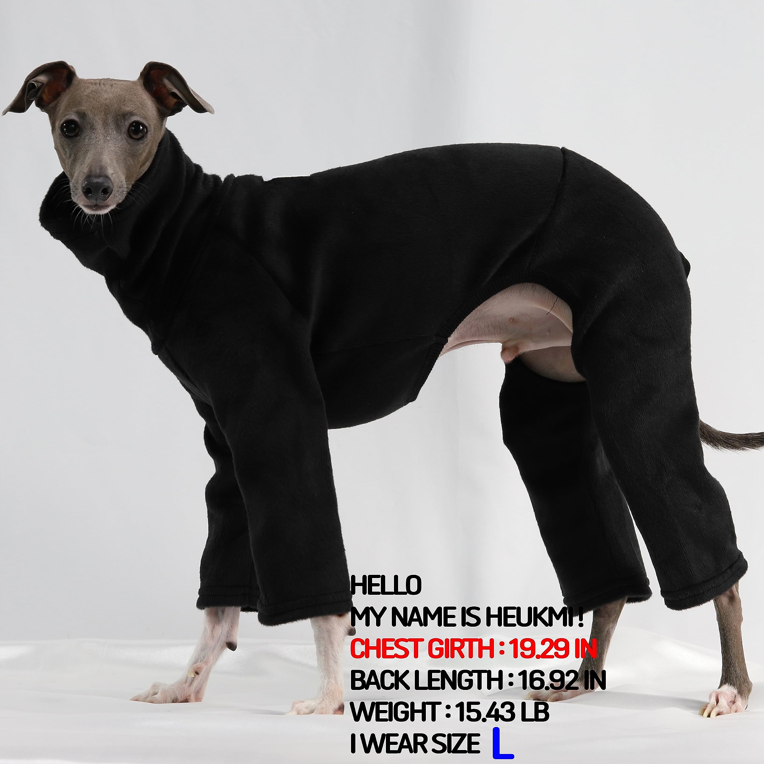 D Doggy Star Italian Greyhound Clothes Sweater Fleece Basic Onesie Whippet For Dog Turtleneck Outfits Coat (Xl,Flce Purple)