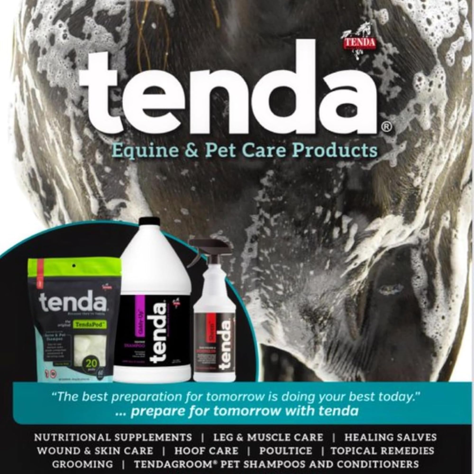 Tenda Neck Sweat 1qt