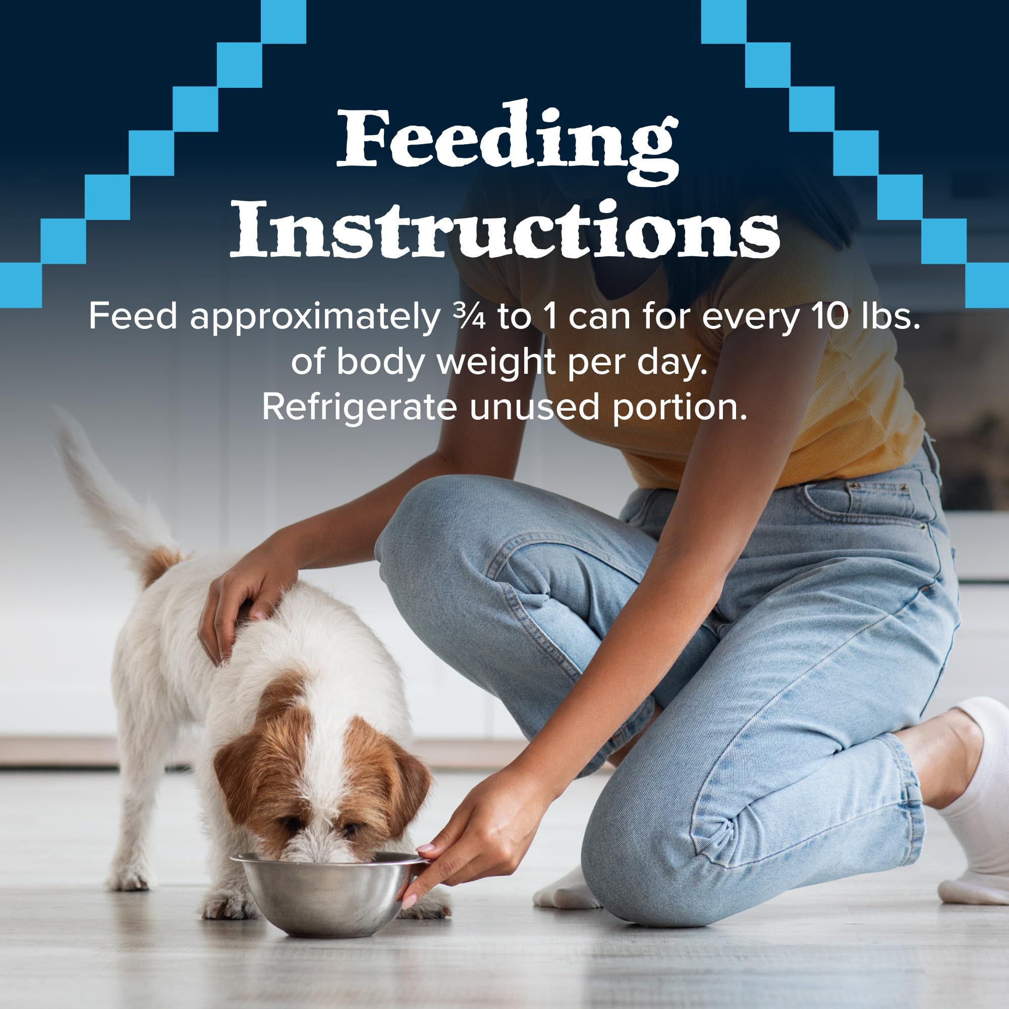Blue Buffalo Wilderness Rocky Mountain Recipe Senior Wet Dog Food, High-Protein & Grain-Free, Made with Natural Ingredients, Red