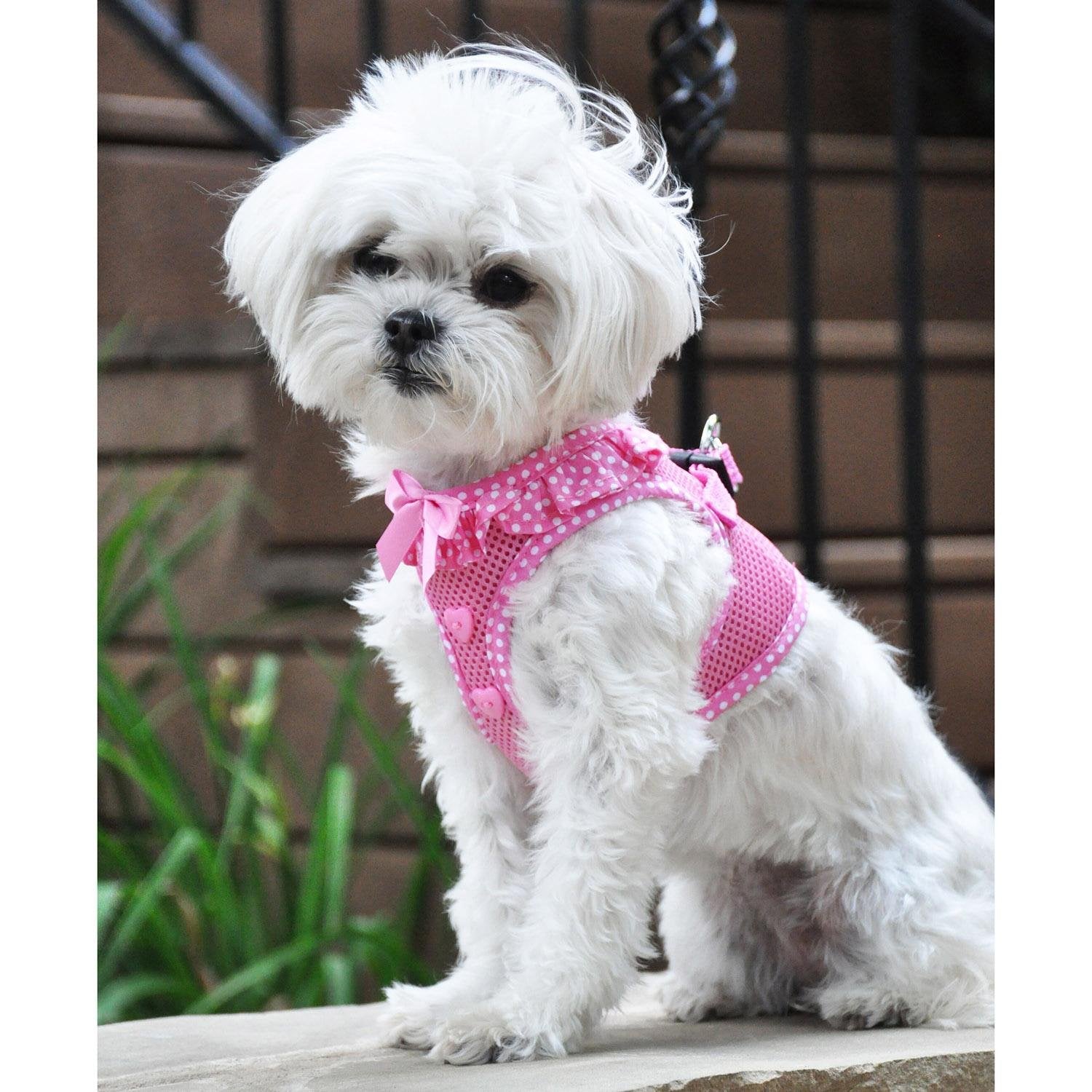 Doggie Design Dog Harness - No Choke Dog Harness, Dog Vest, Mesh Polyester, Pet Harness, Simple Step In And Go Design, Harness For Dog - Pink Polka Dot - Xl