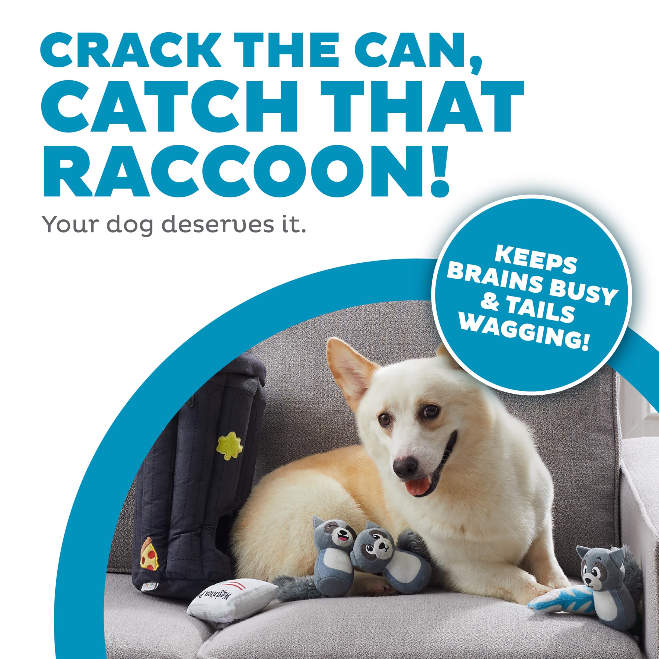 Outward Hound Hide A Raccoon Plush Dog Toy Puzzle