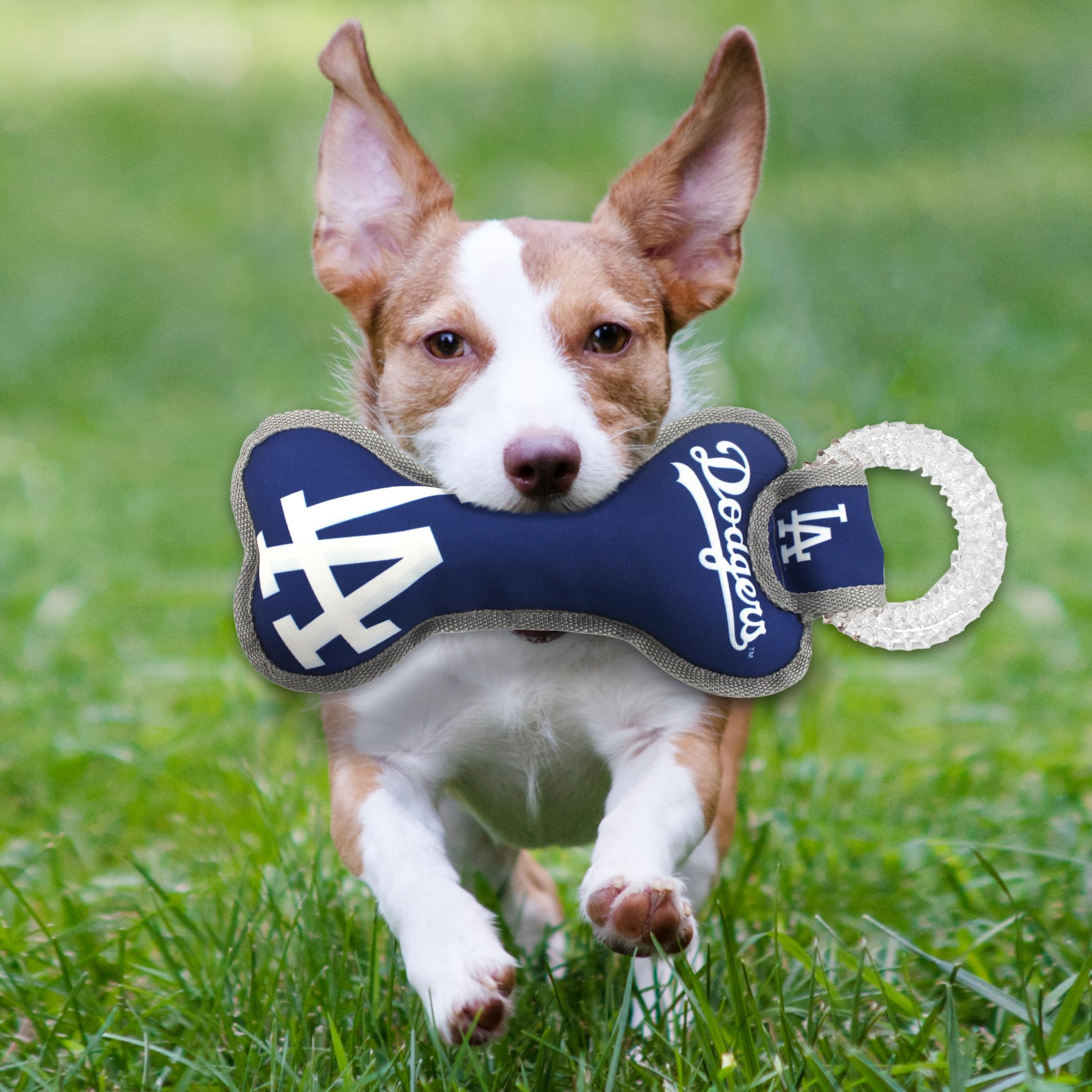 Mlb Los Angeles Dodgers Bone Shaped Dental Dog Tug Toy With Squeaker. Tough Pet Toy For Healthy Fun, Teething, And Cleaning Pet'