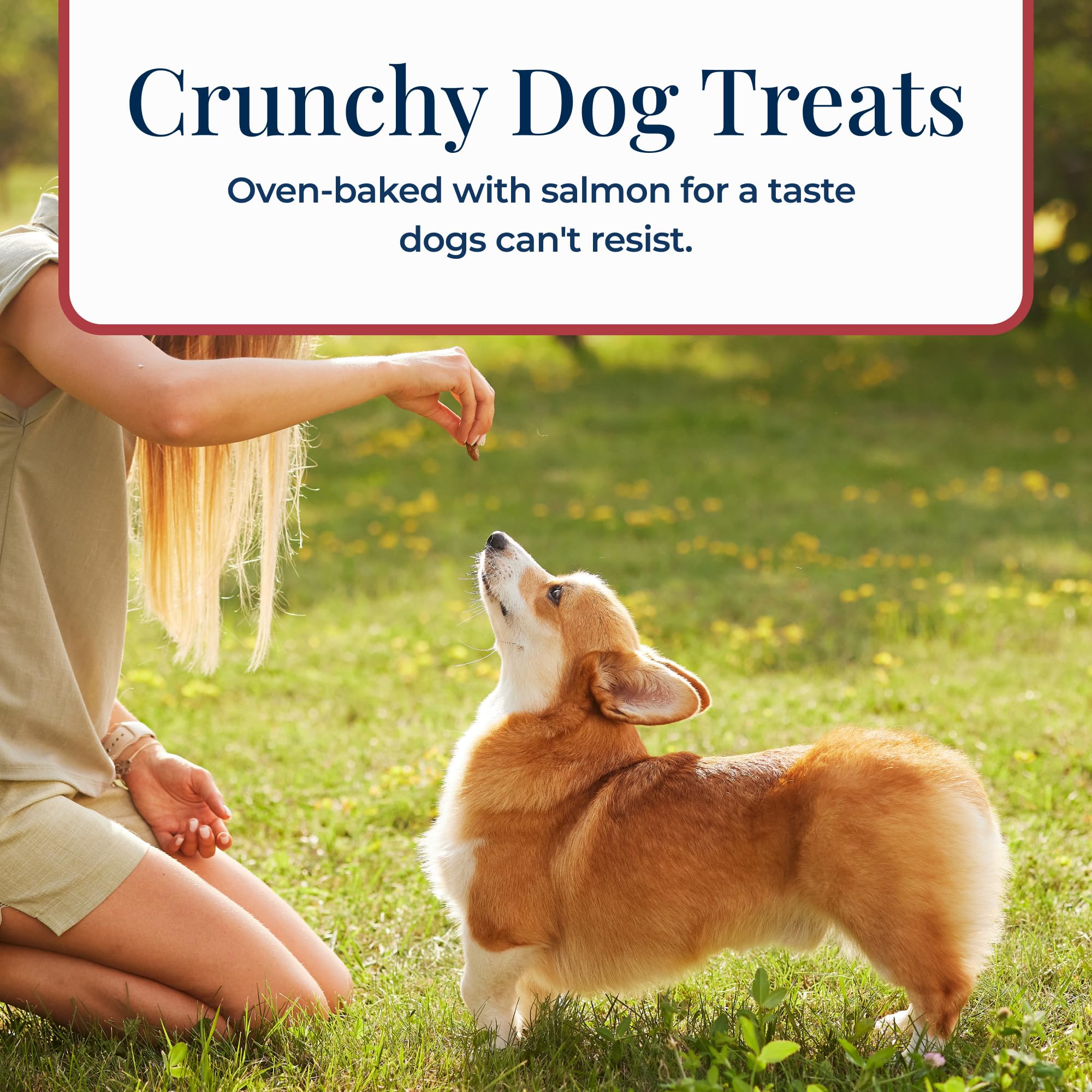 Blue Buffalo Basics Crunchy Dog Biscuits for Skin & Stomach Care, Limited Ingredient Diet Dog Treats, Salmon & Potato Recipe, 6-