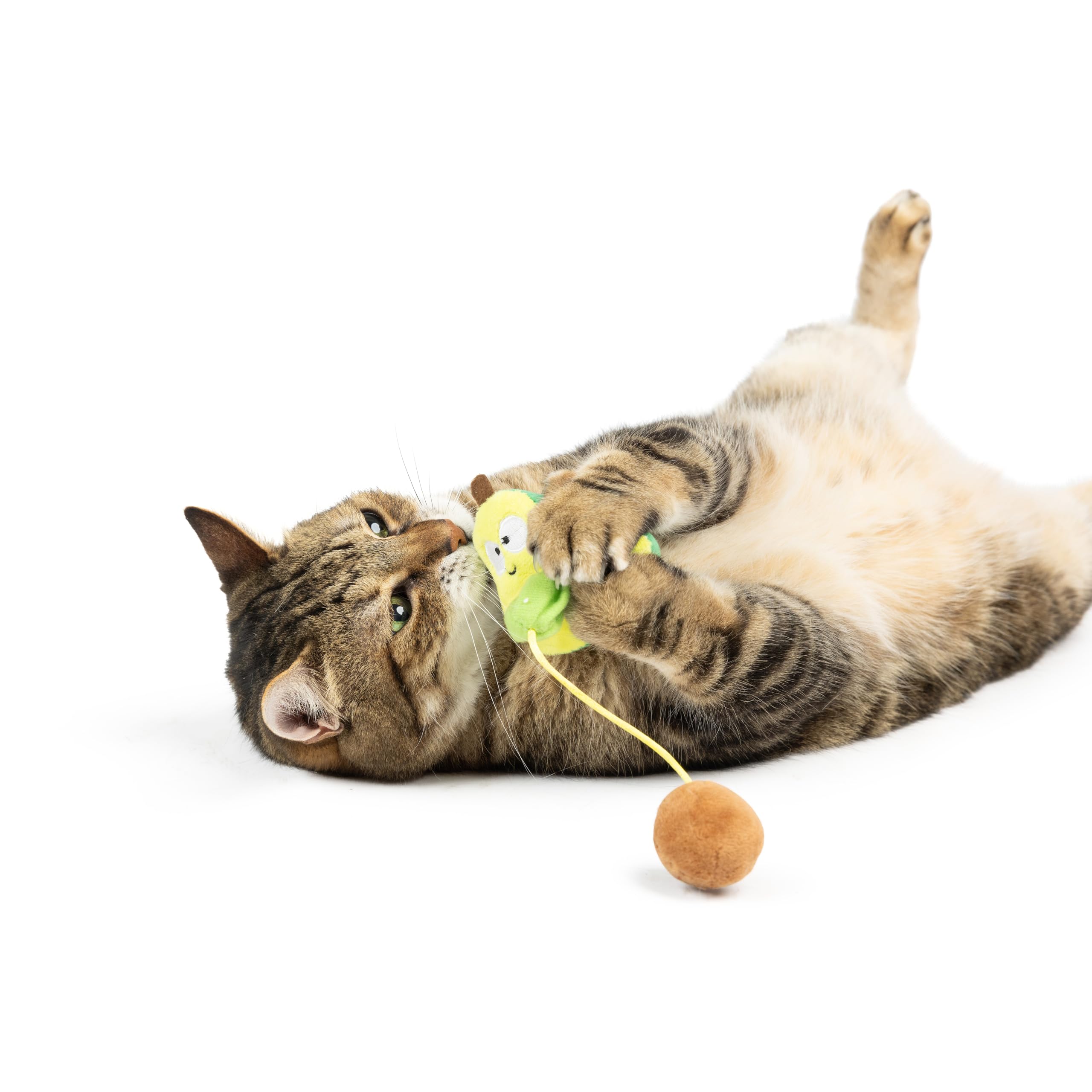 Huxley & Kent Plush Cat Toy - Avocado Popper - Snack Attack Strong Catnip And Crinkle Filled Cat Toy - Kittybelles