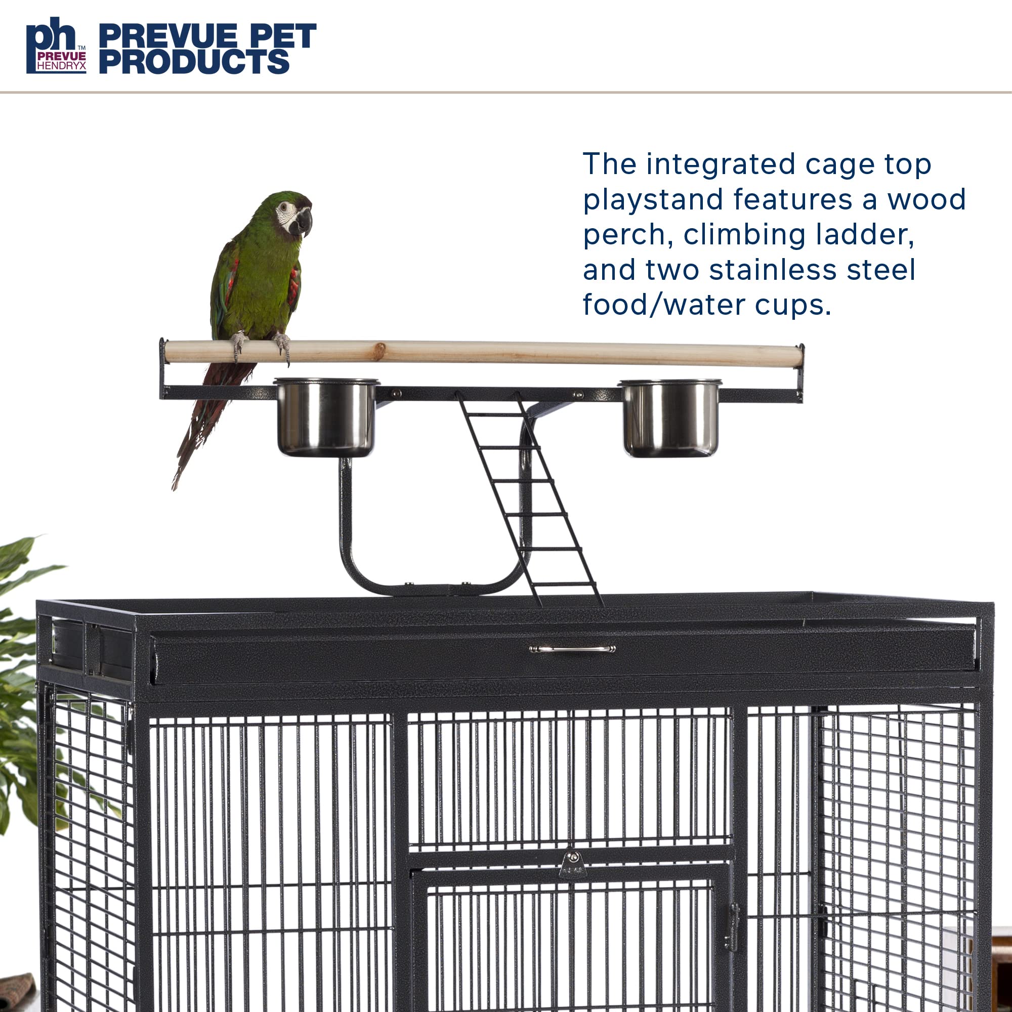 Prevue Hendryx Select Wrought Iron Play Top Parrot Cage - Chalk White