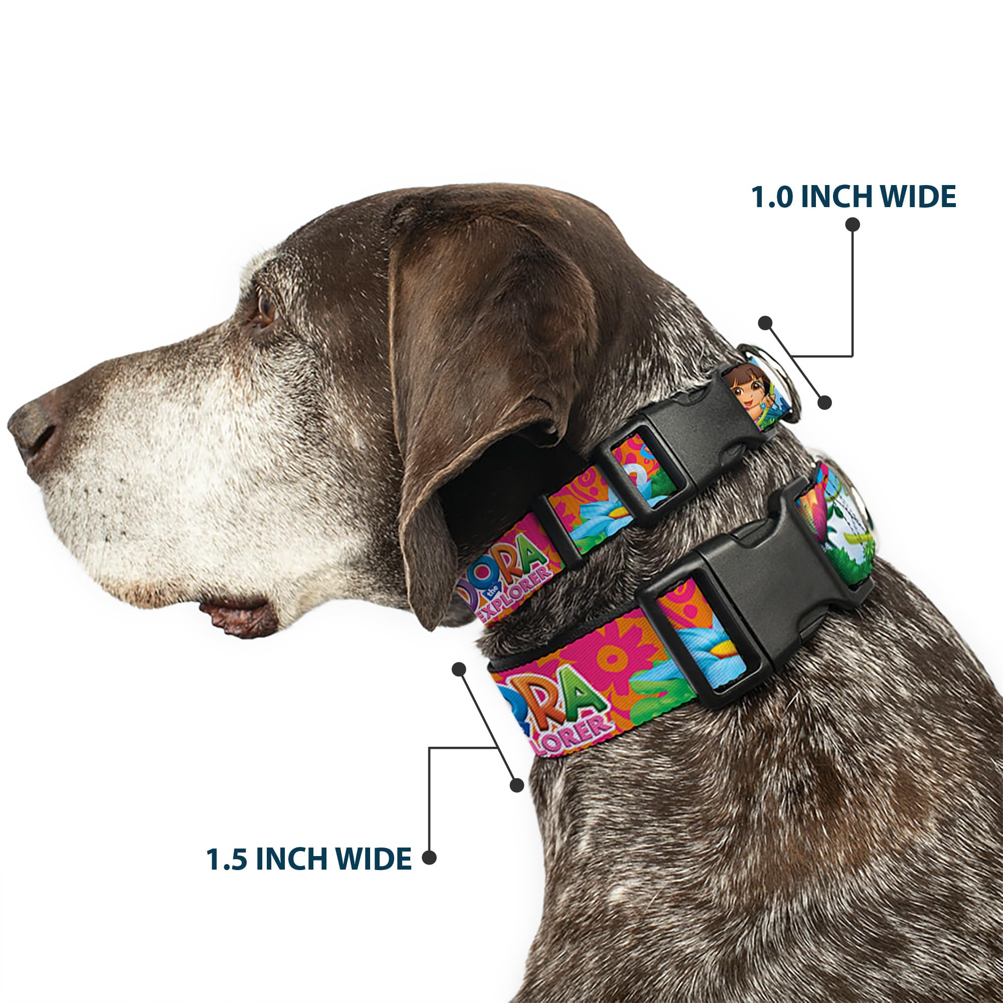 Buckle-Down Dog Collar Plastic Clip Dora The Explorer Dora Poses Floral Collage Orange Pink 15 To 26 Inches 1.0 Inch Wide, Multi