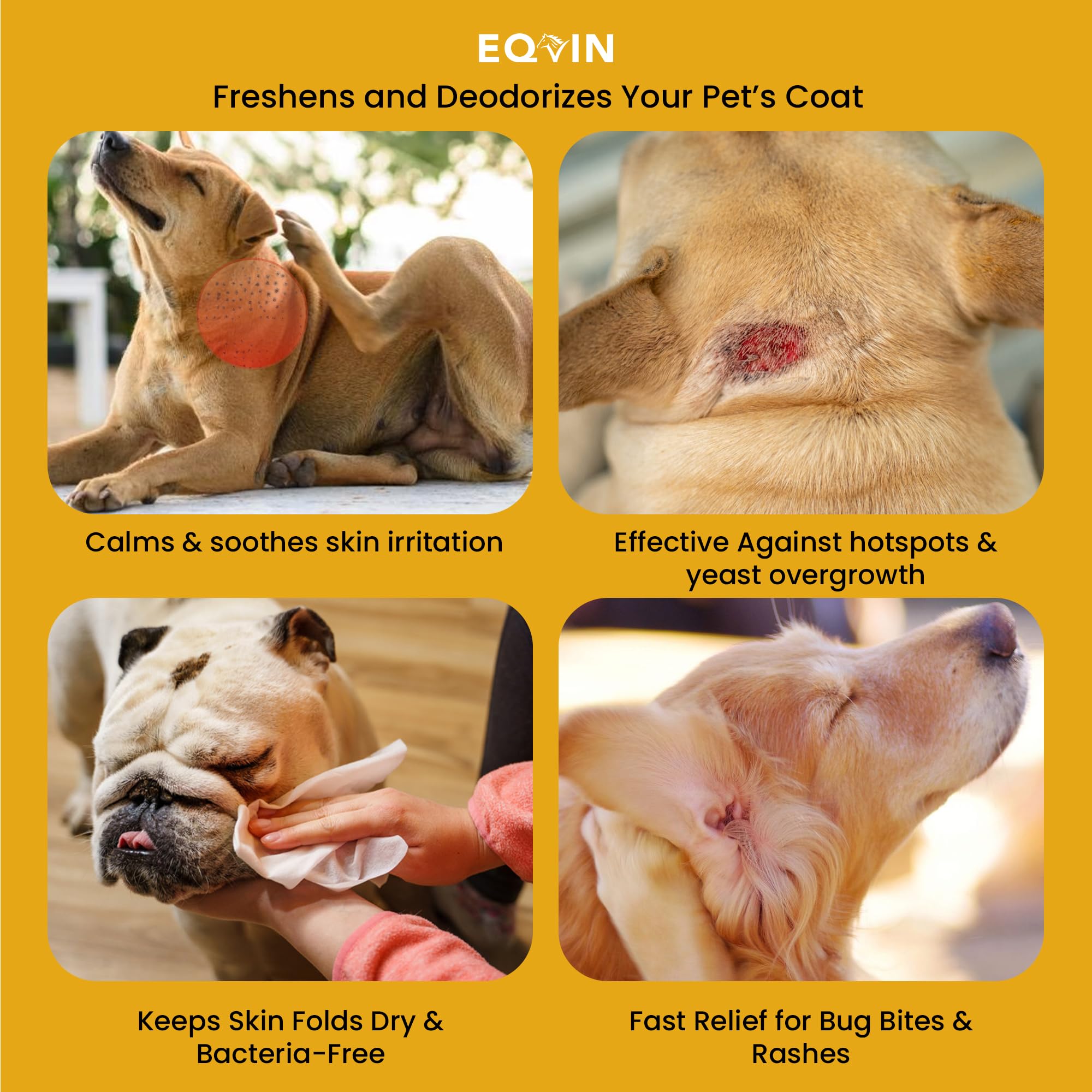 Eqvin Dog Coat Care Powder | Made in USA | Waterless Dry Shampoo & Deodorizer for Smelly Dogs, Anti-Itch Relief for Dry Itchy Sk
