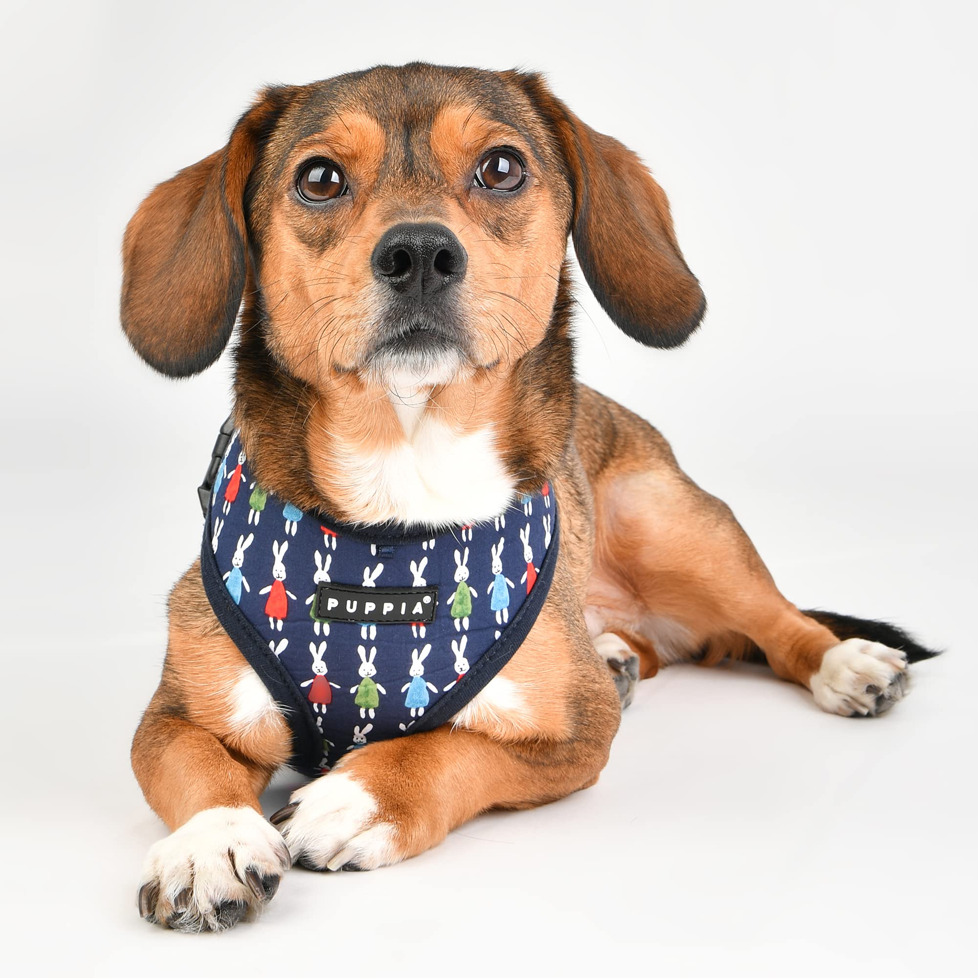 Puppia Mollie Harness A - Navy - S