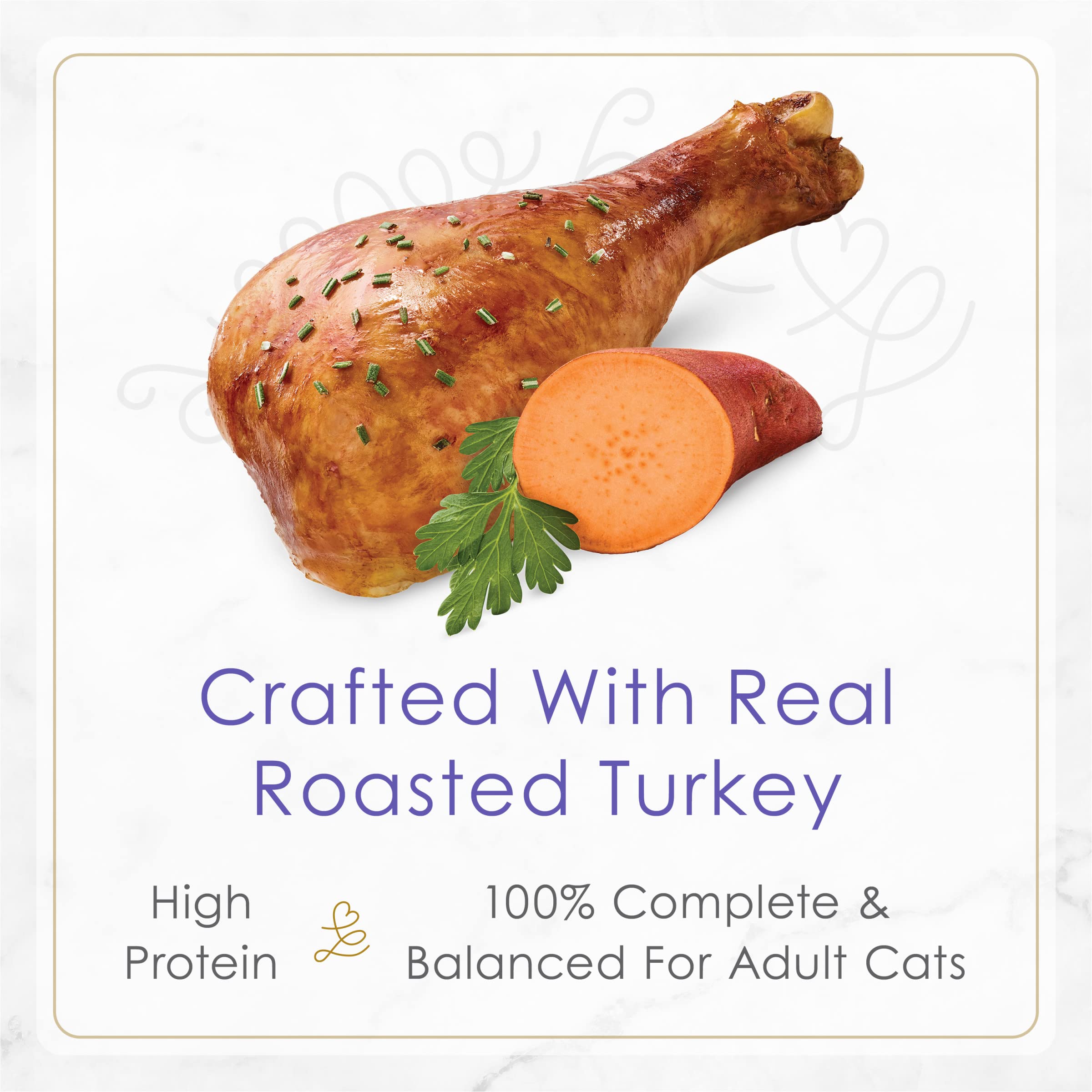 Purina Fancy Feast Petites With Roasted Turkey Entr  e with Sweet Potato in Gravy Gourmet Wet Cat Food - (Pack of 12) 2.8 oz. Tu