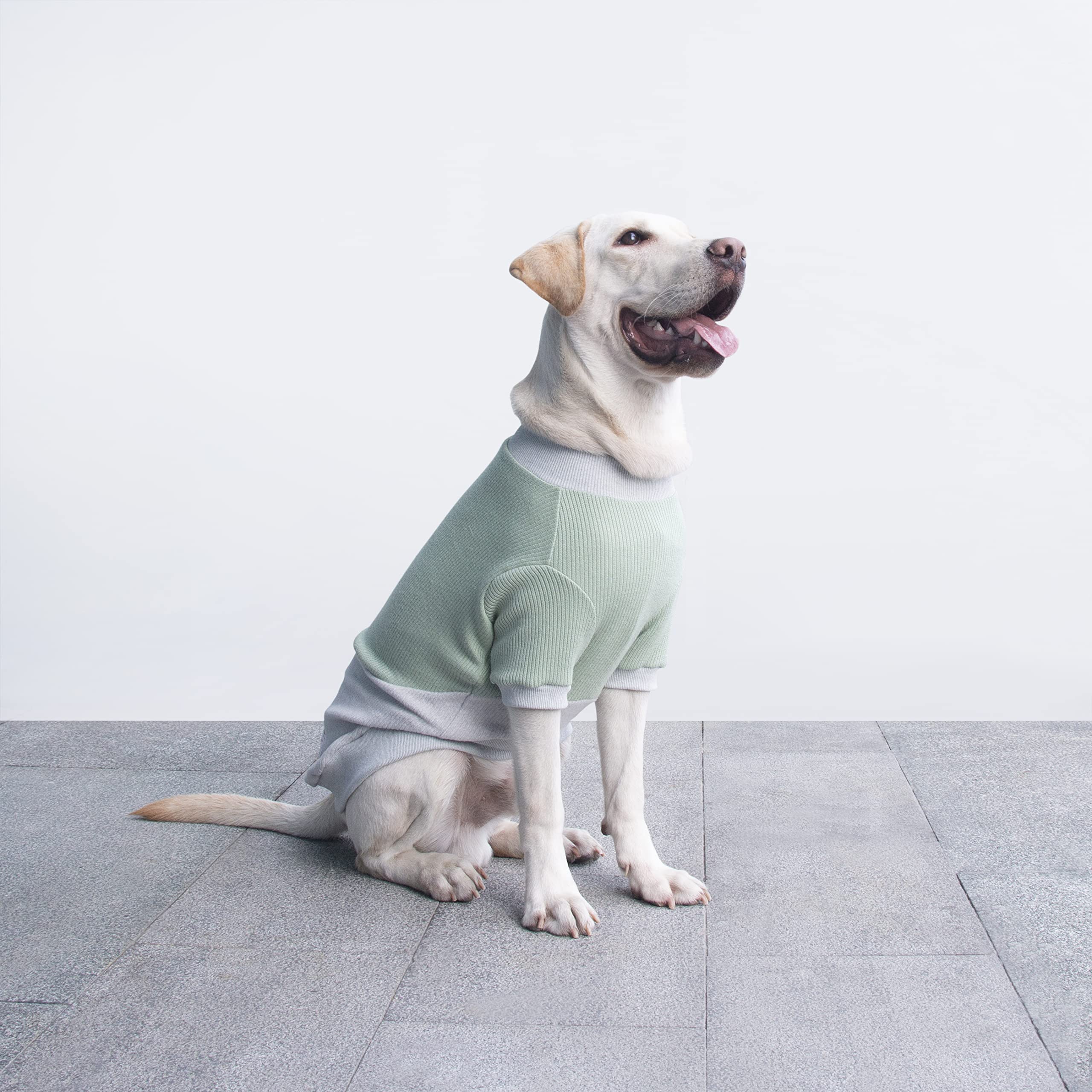 Arunners Extra Large Dog Sweaters Warm Clothes Pullover Sweatshirts For Labrador Rottweiler Great Dane, Green Grey, 6X-Large